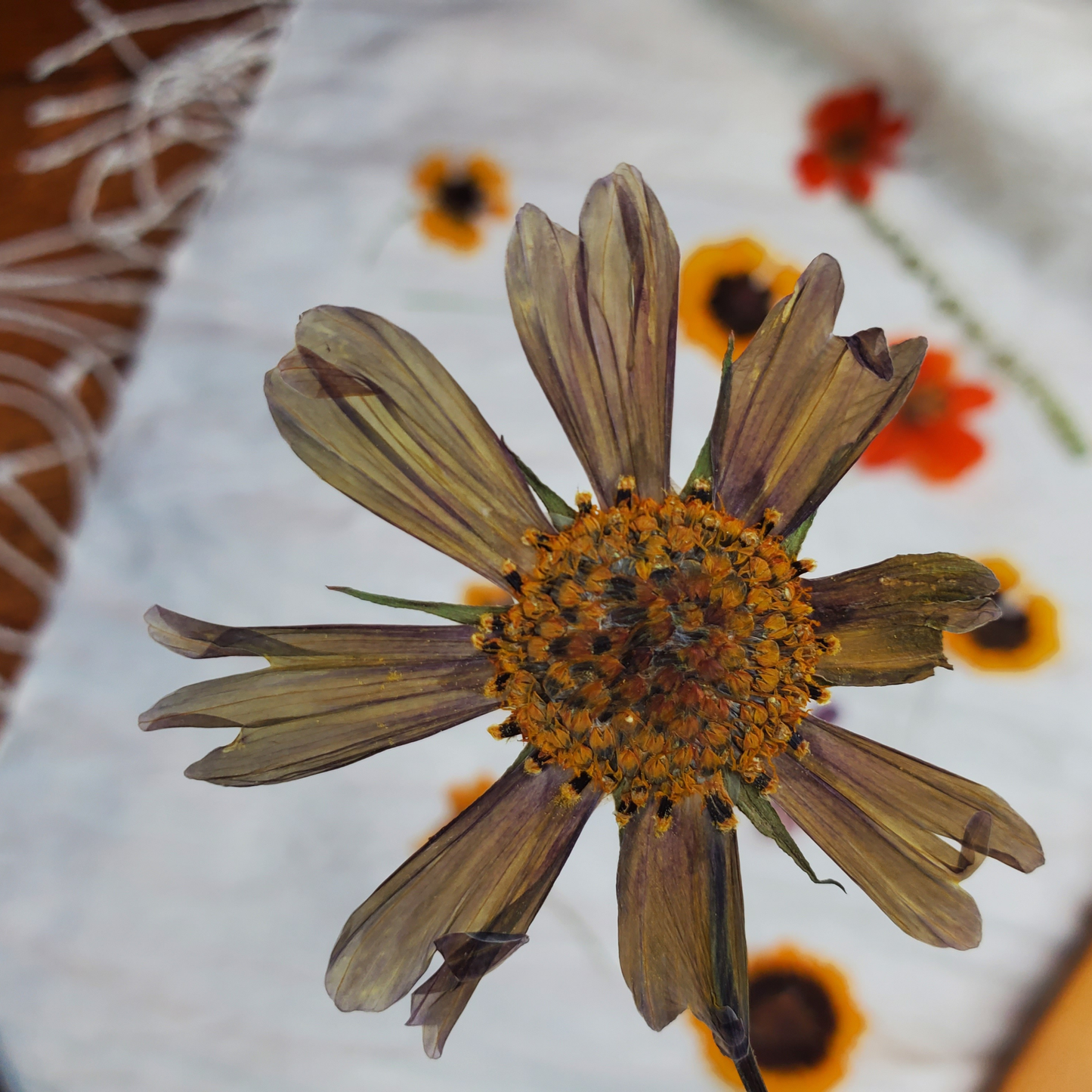 Eco-Printing Workshop