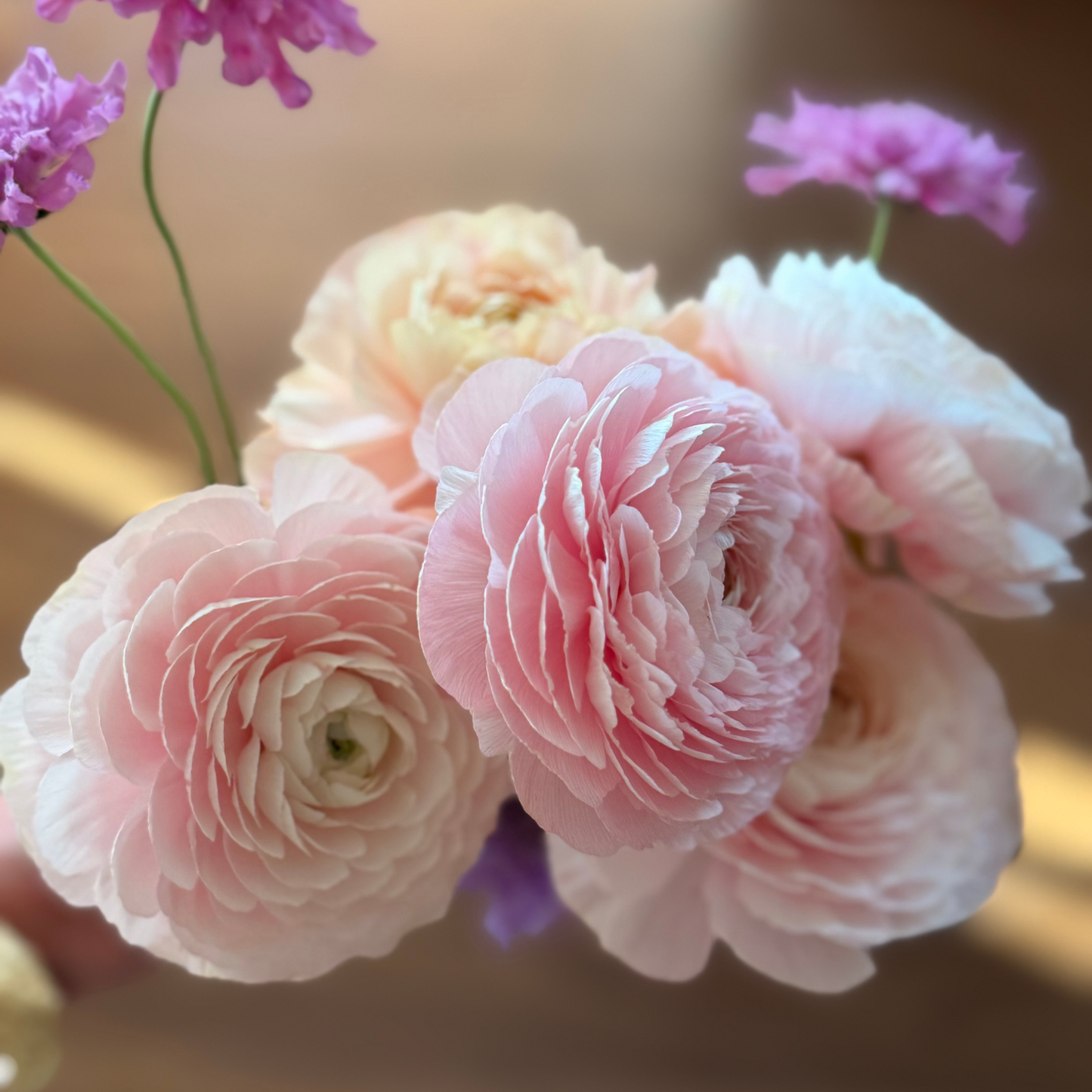 Bubbles & Bouquets Workshop