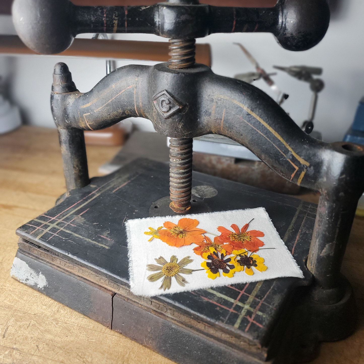 Eco-Printing Workshop