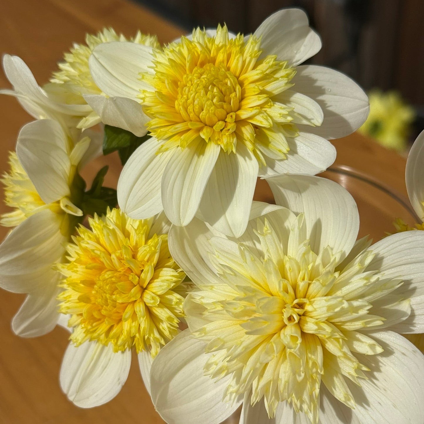 Yellow and white flowers in a clear vase on a wooden surface