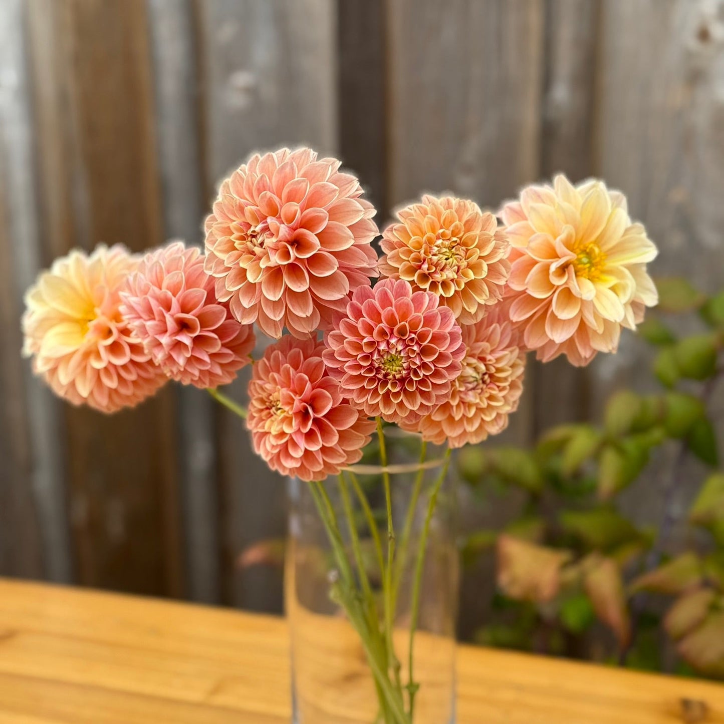 Clear glass vase with pink and yellow flowers on a wooden surface