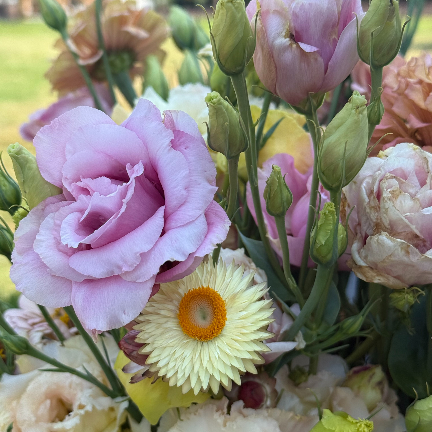 Gather & Glow: Abundant Harvest (30 stems)