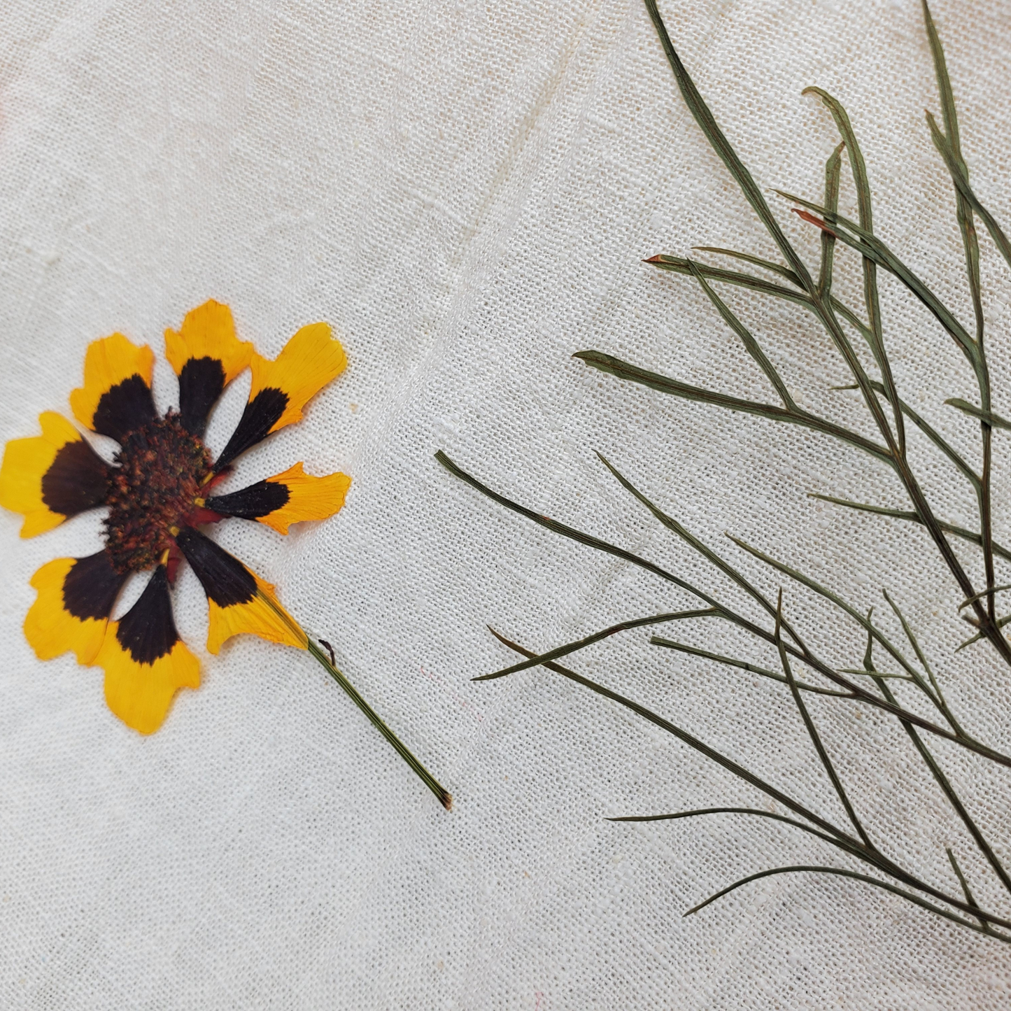 Eco-Printing Workshop