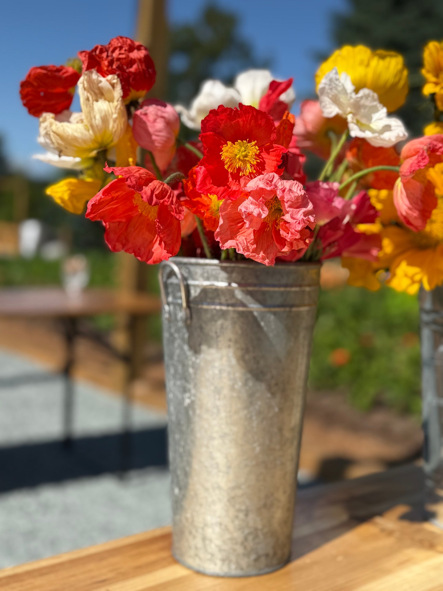 Bubbles & Bouquets Workshop