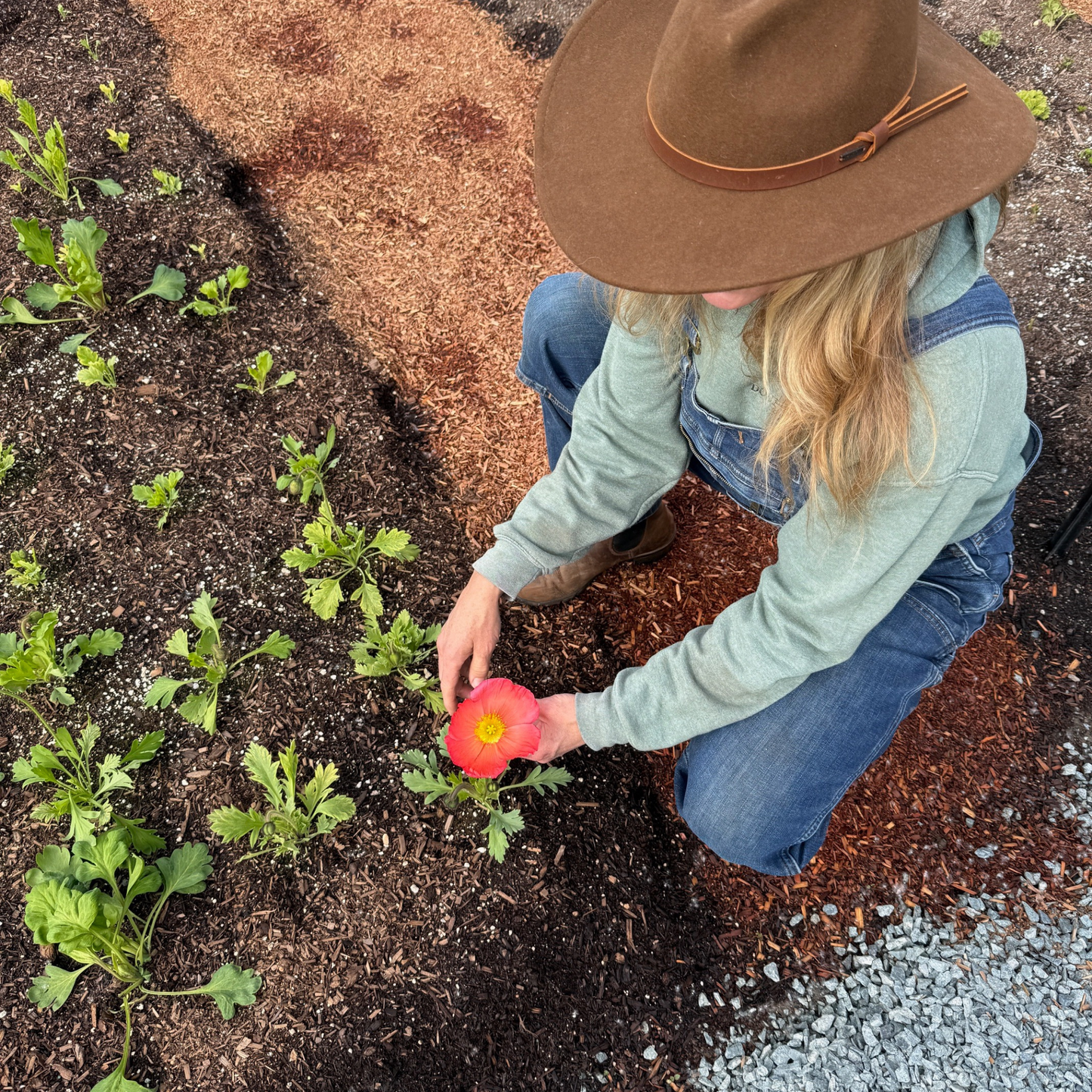 Flower Farm Tour