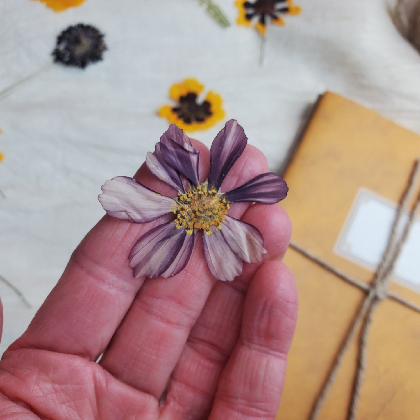 Eco-Printing Workshop