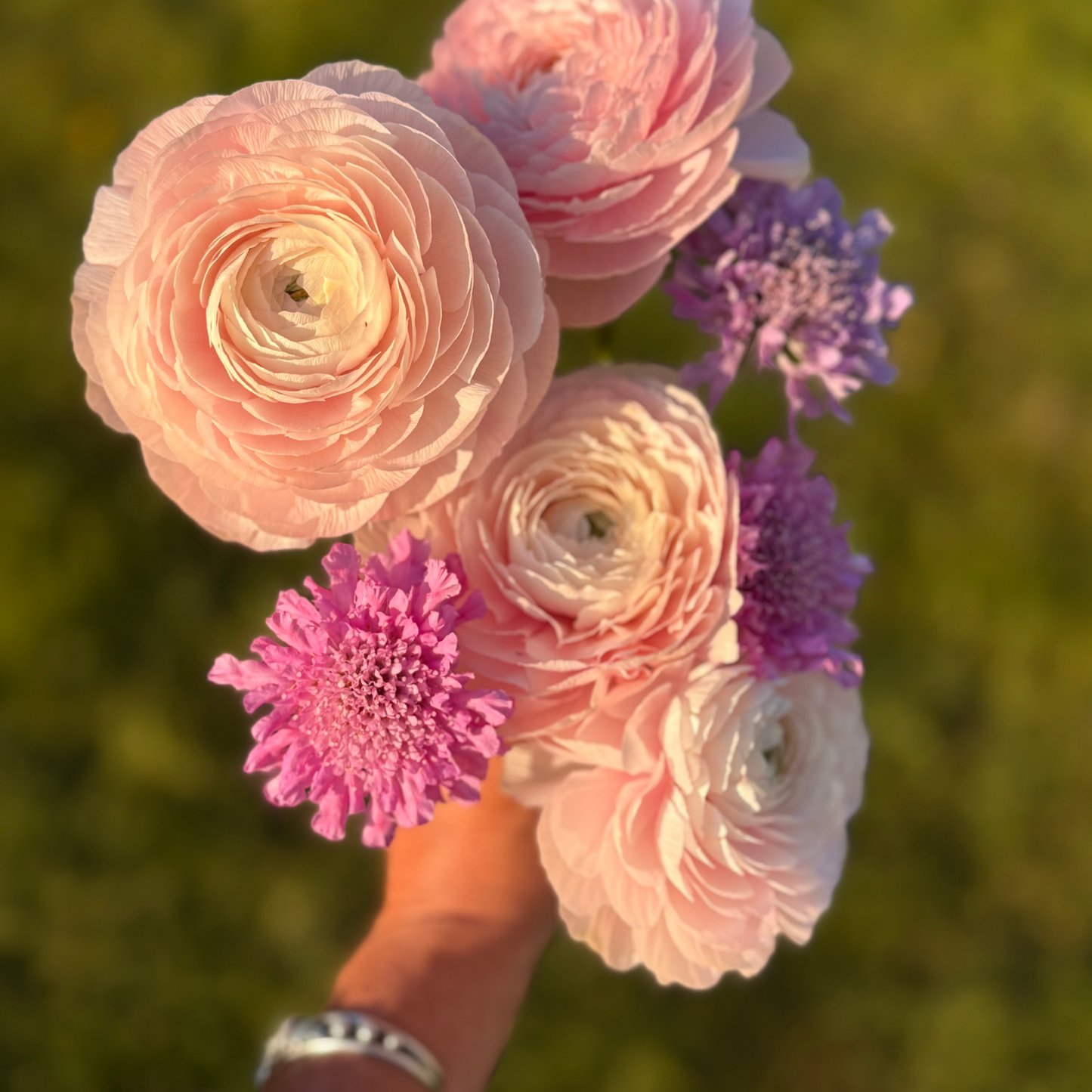 Gather & Glow: Petite Harvest (15 stems)