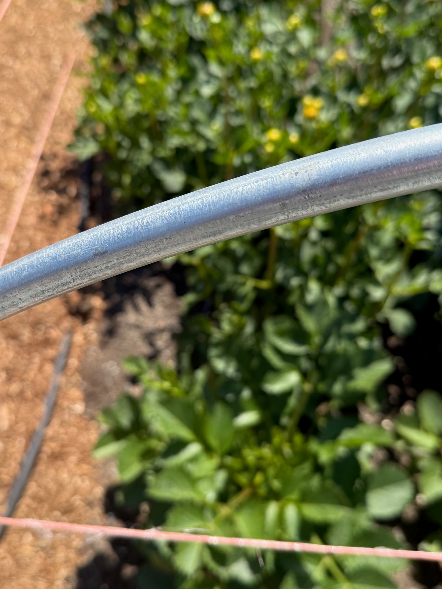 Heavy-Duty Low Tunnel Caterpillar Hoops – 4ft Tall x 51″ Wide