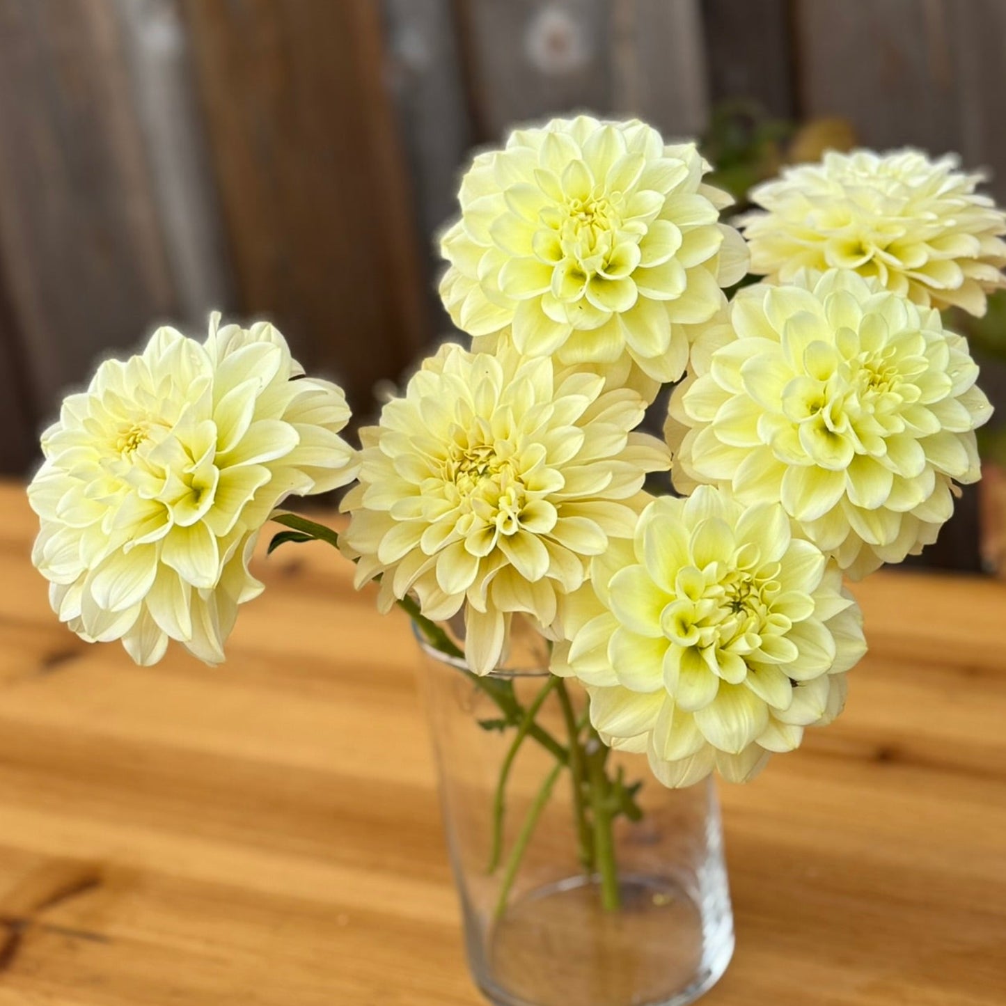 Clear glass vase with light yellow flowers on a wooden surface