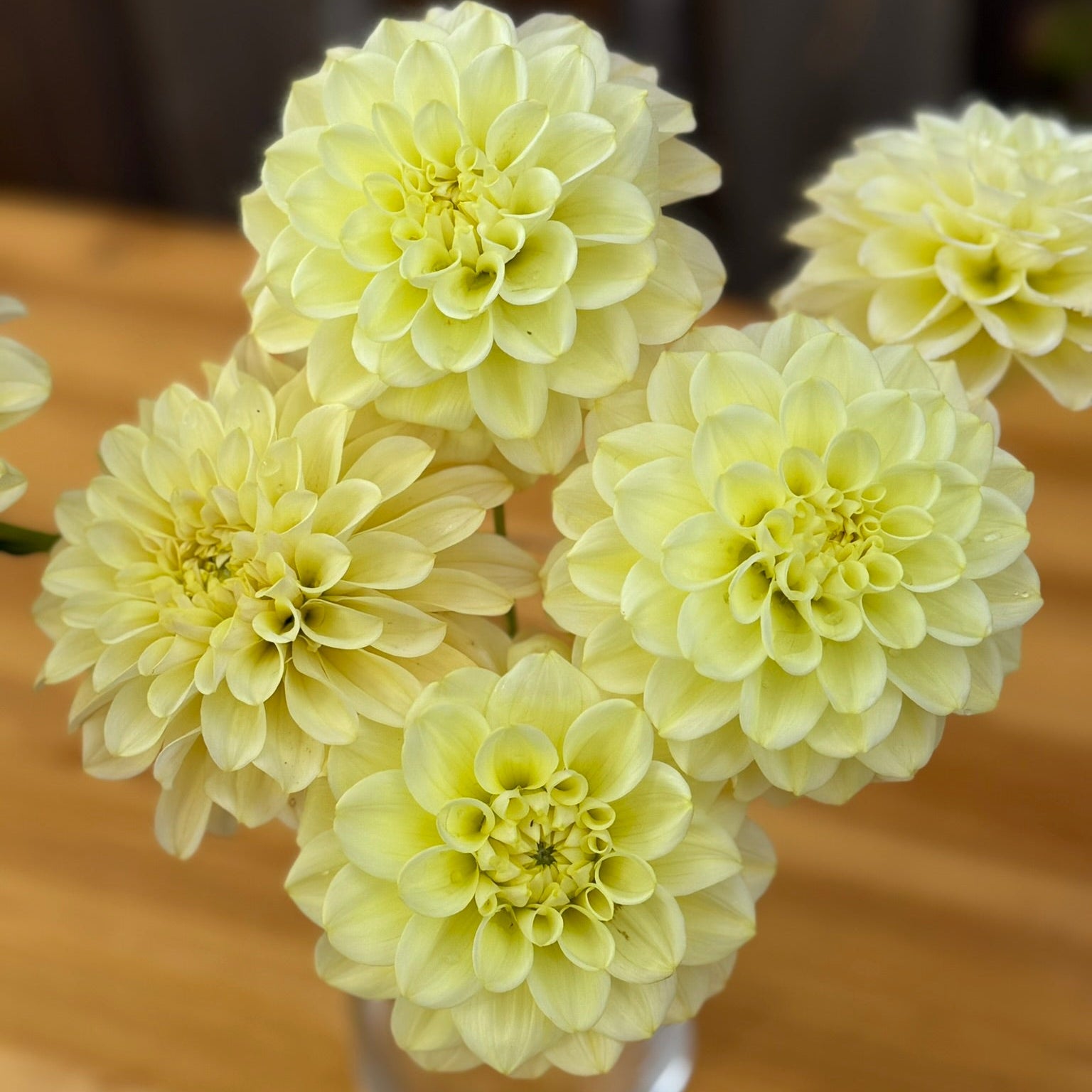 Light green flowers in a clear vase on a wooden surface