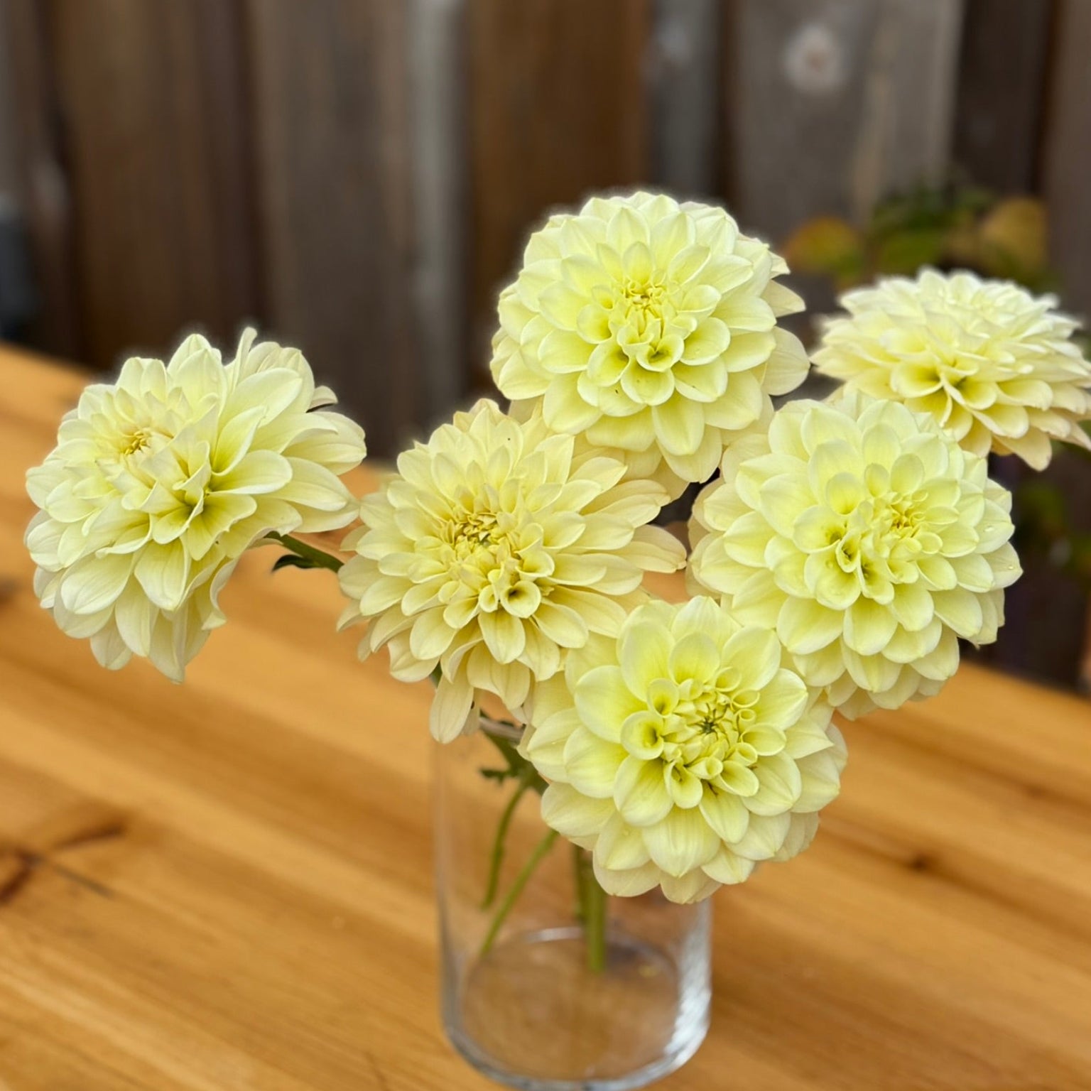 Clear glass vase with light yellow flowers on a wooden surface