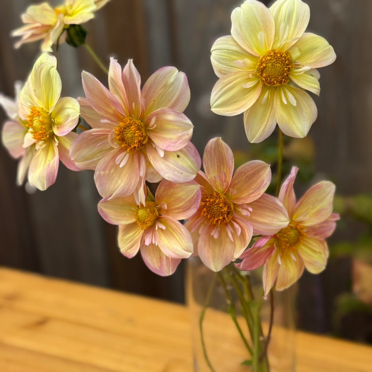 Clear glass vase with light pink and yellow flowers on a wooden surface