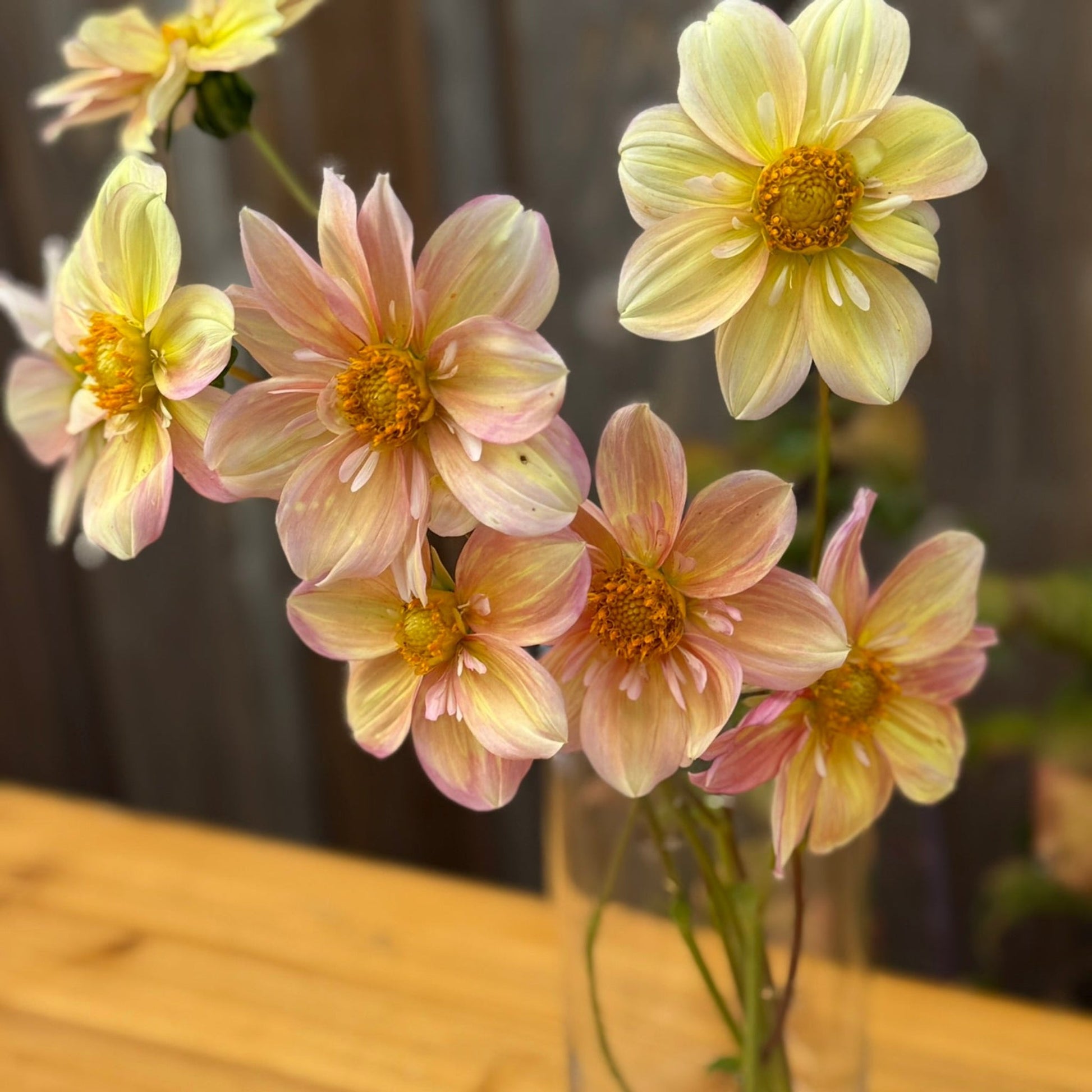 Clear glass vase with light pink and yellow flowers on a wooden surface