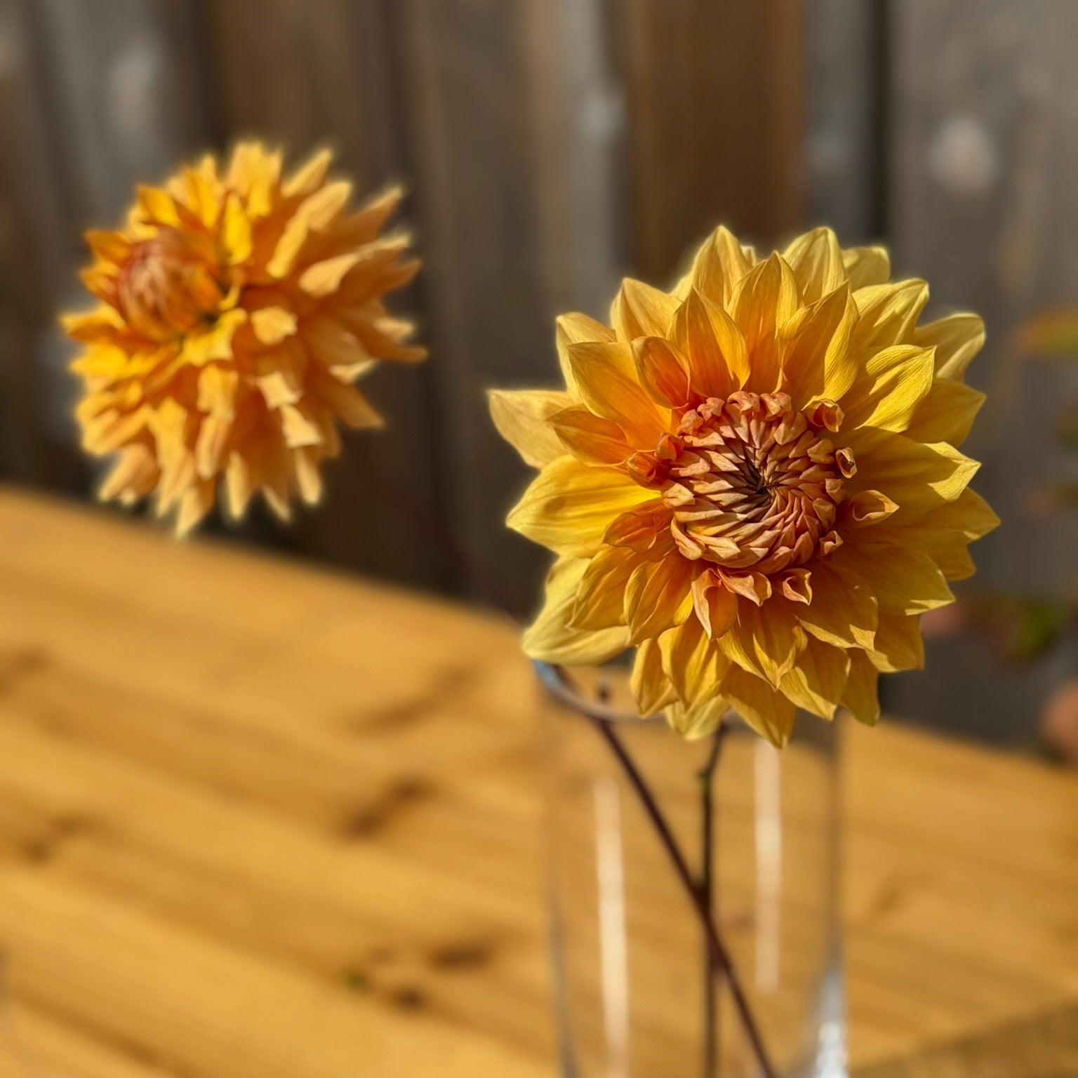 Yellow flowers in a clear vase on a wooden surface
