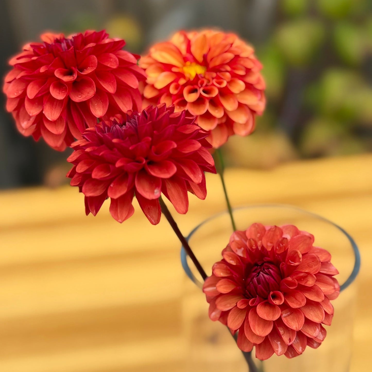 Red and orange flowers in a clear vase on a wooden surface with a blurred background