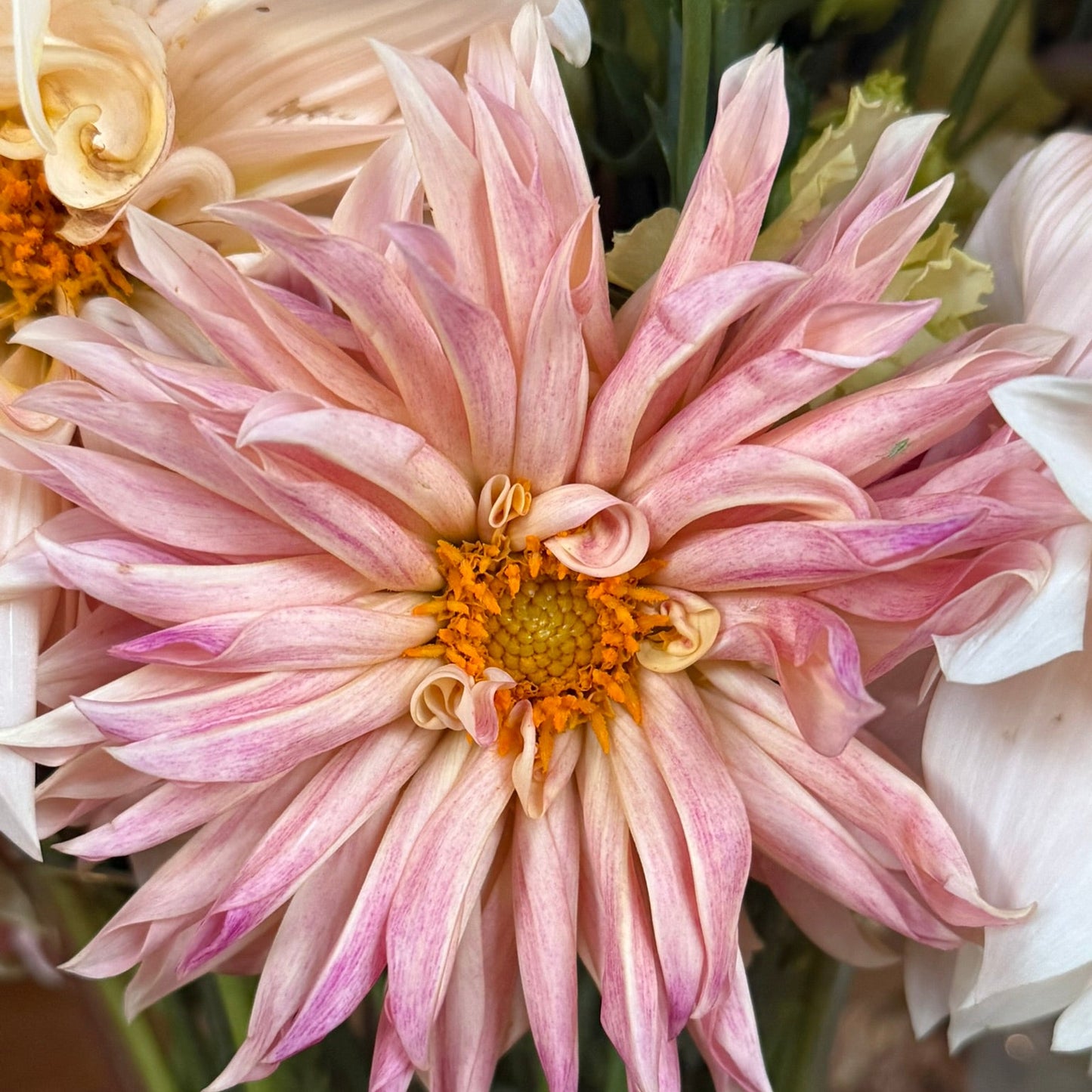 Close-up of a pink flower with a yellow center in a bouquet.