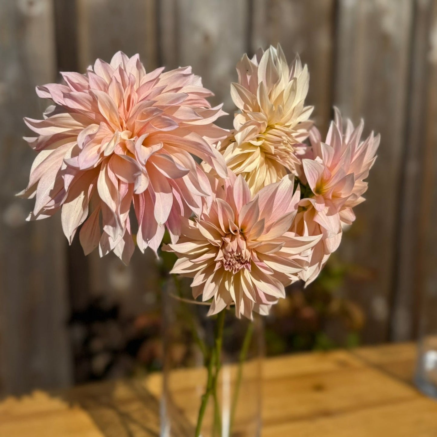 Bouquet of pink flowers in a clear vase on a wooden table with a metal fence background.