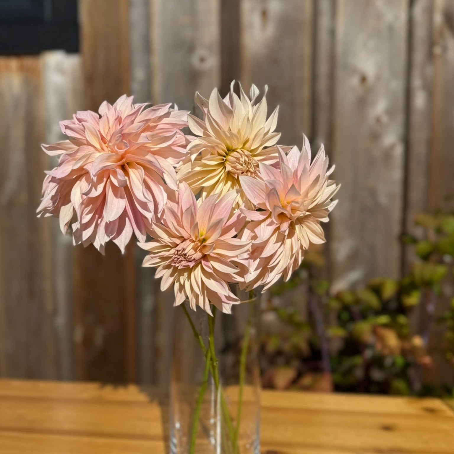 Clear vase with pink flowers on a wooden table against a wooden fence background