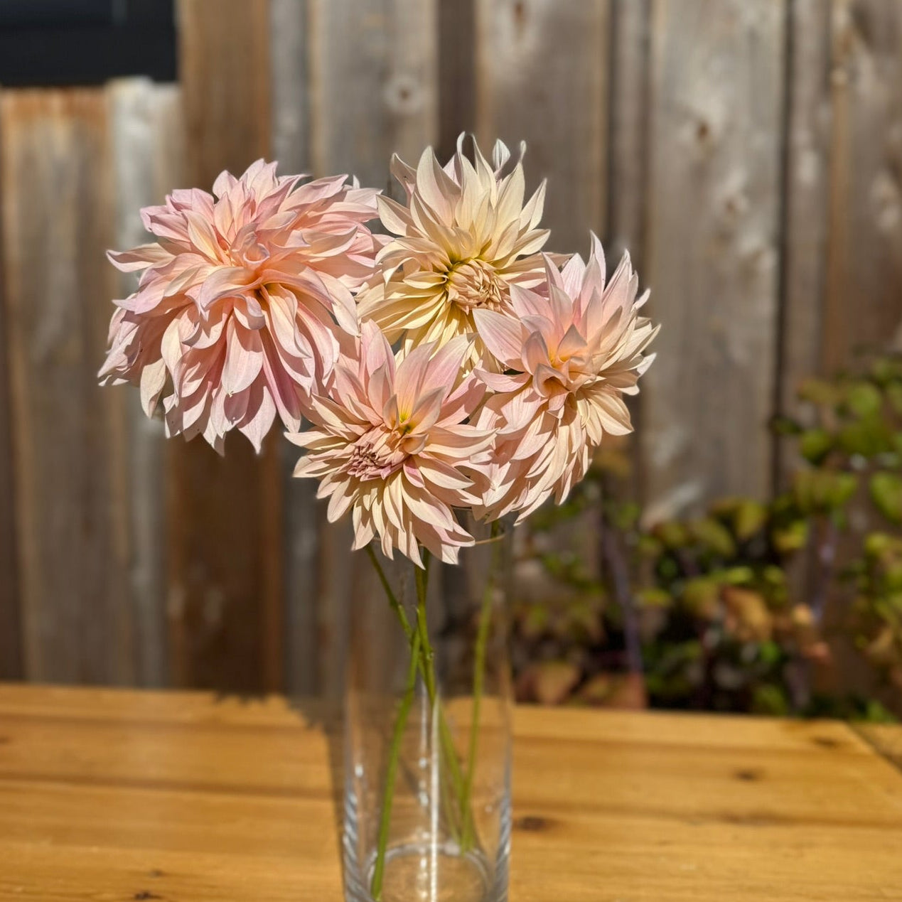 Clear vase with pink flowers on a wooden table against a wooden fence background