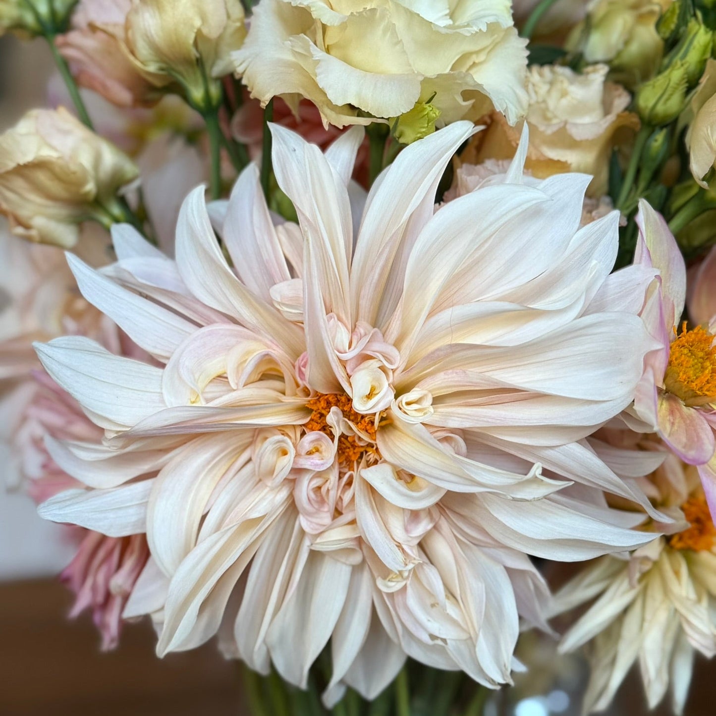 Bouquet of flowers with a prominent white dahlia in a blurred background