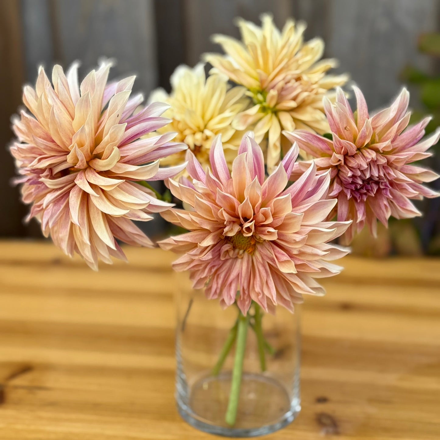 Glass vase with pink and yellow flowers on a wooden surface