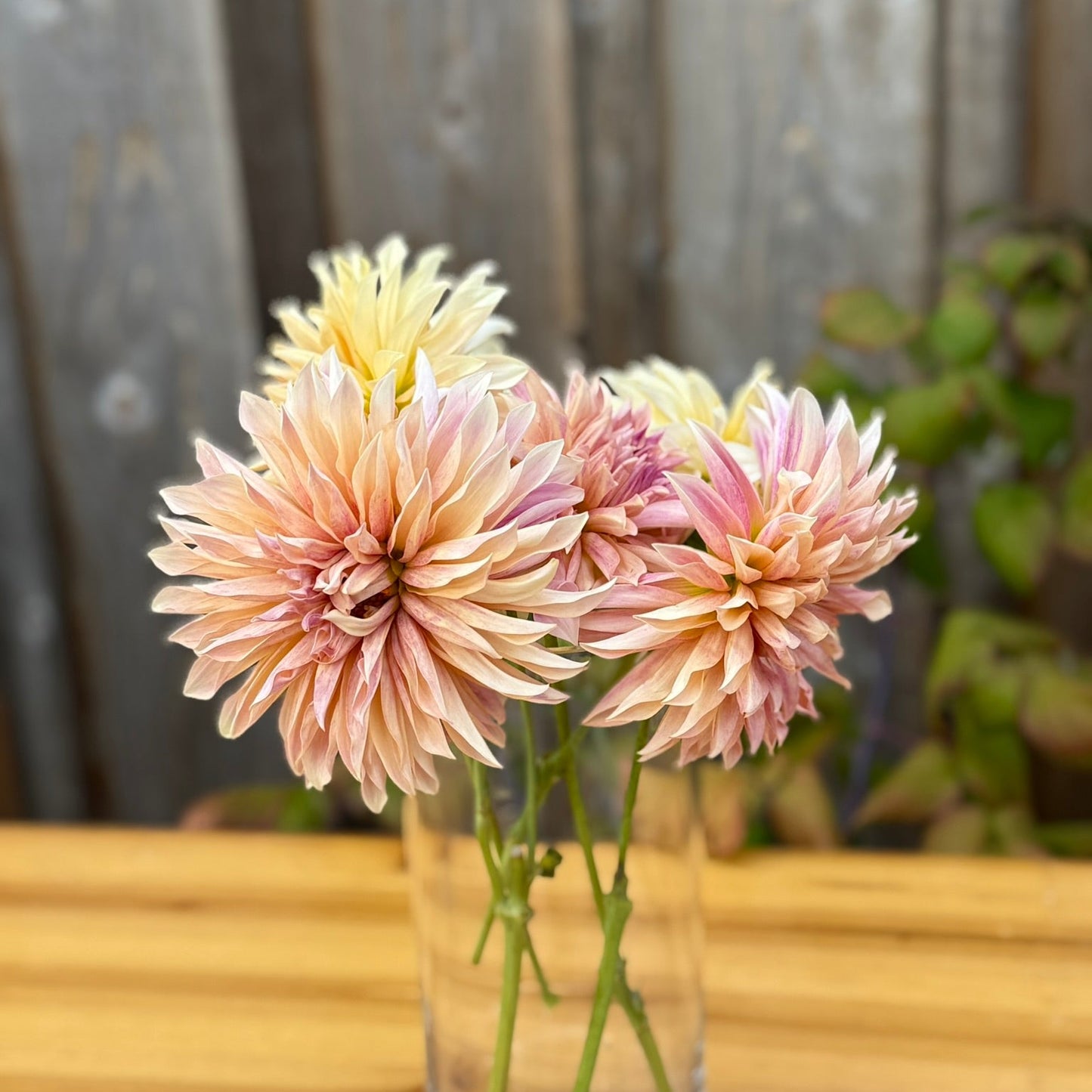 Clear glass vase with pink and yellow flowers on a wooden surface