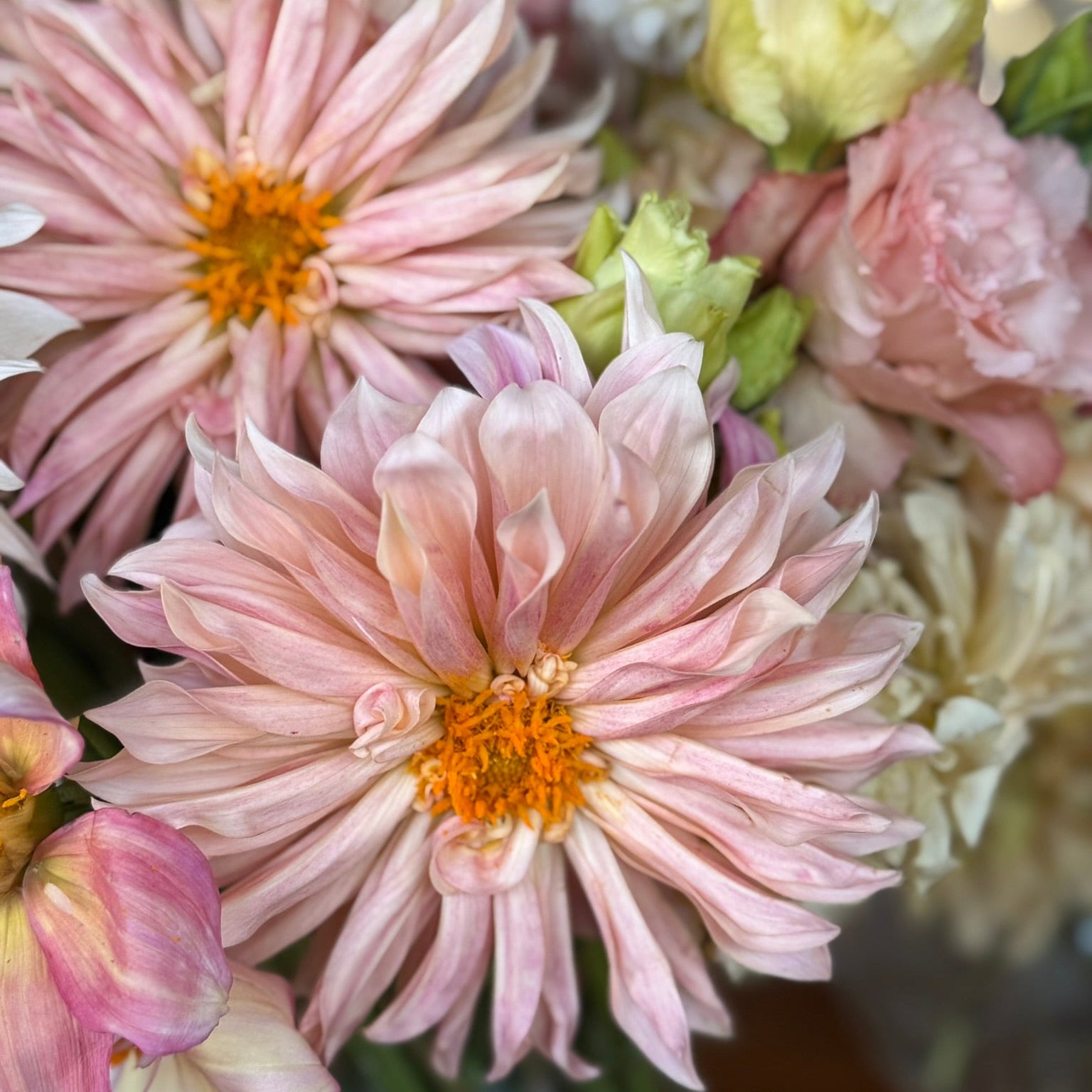 Close-up of a bouquet of pink and green flowers with a blurred background