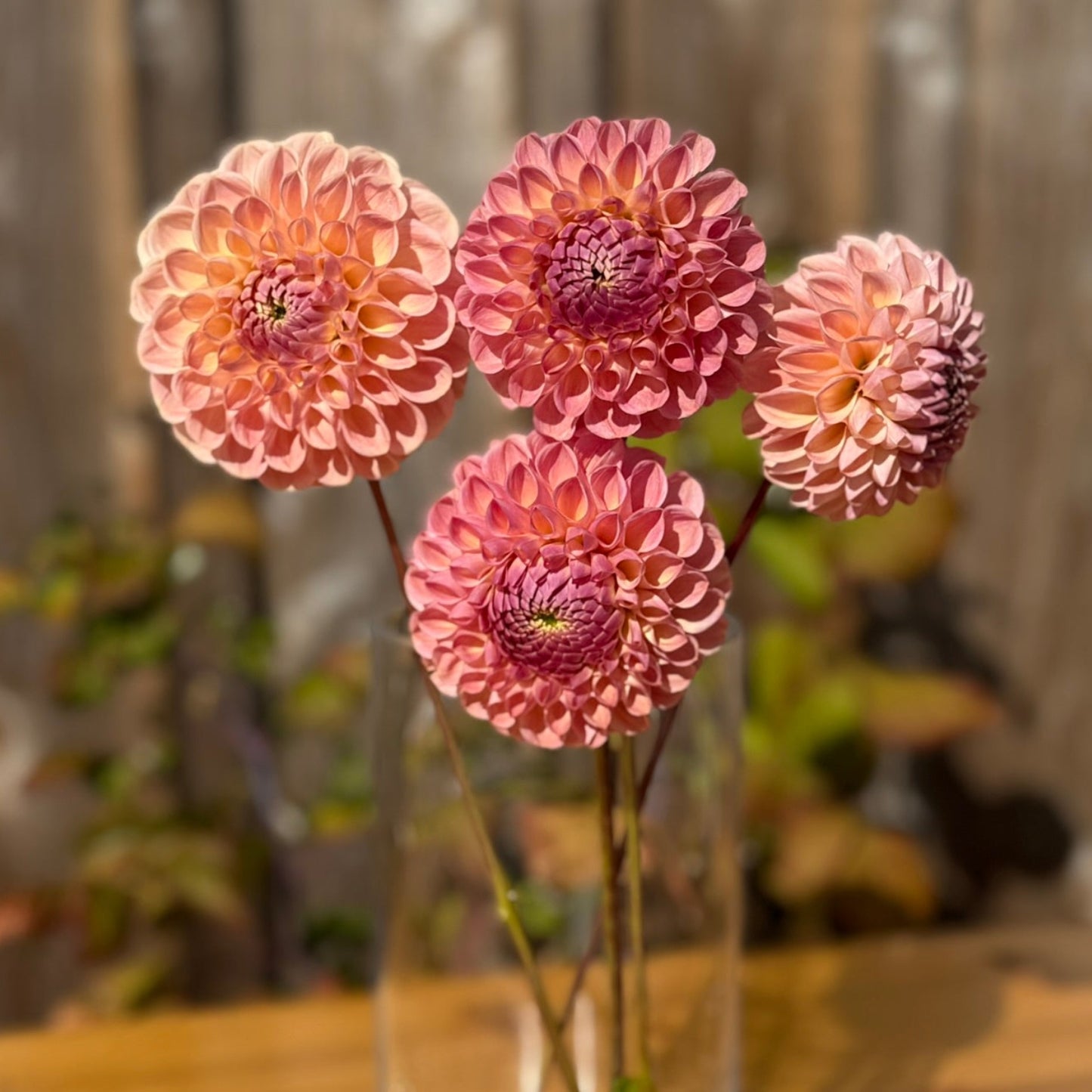 Clear glass vase with pink flowers on a wooden surface