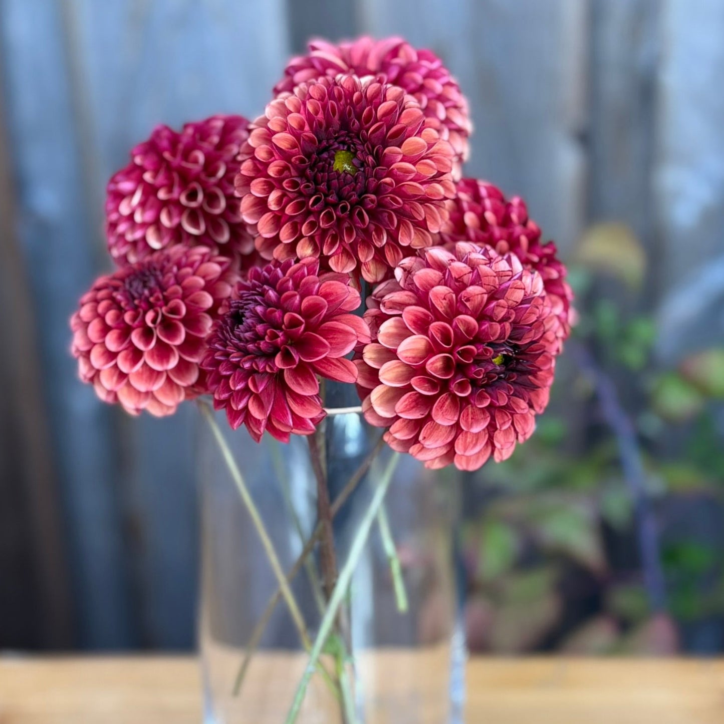 Clear vase with red flowers on a wooden surface