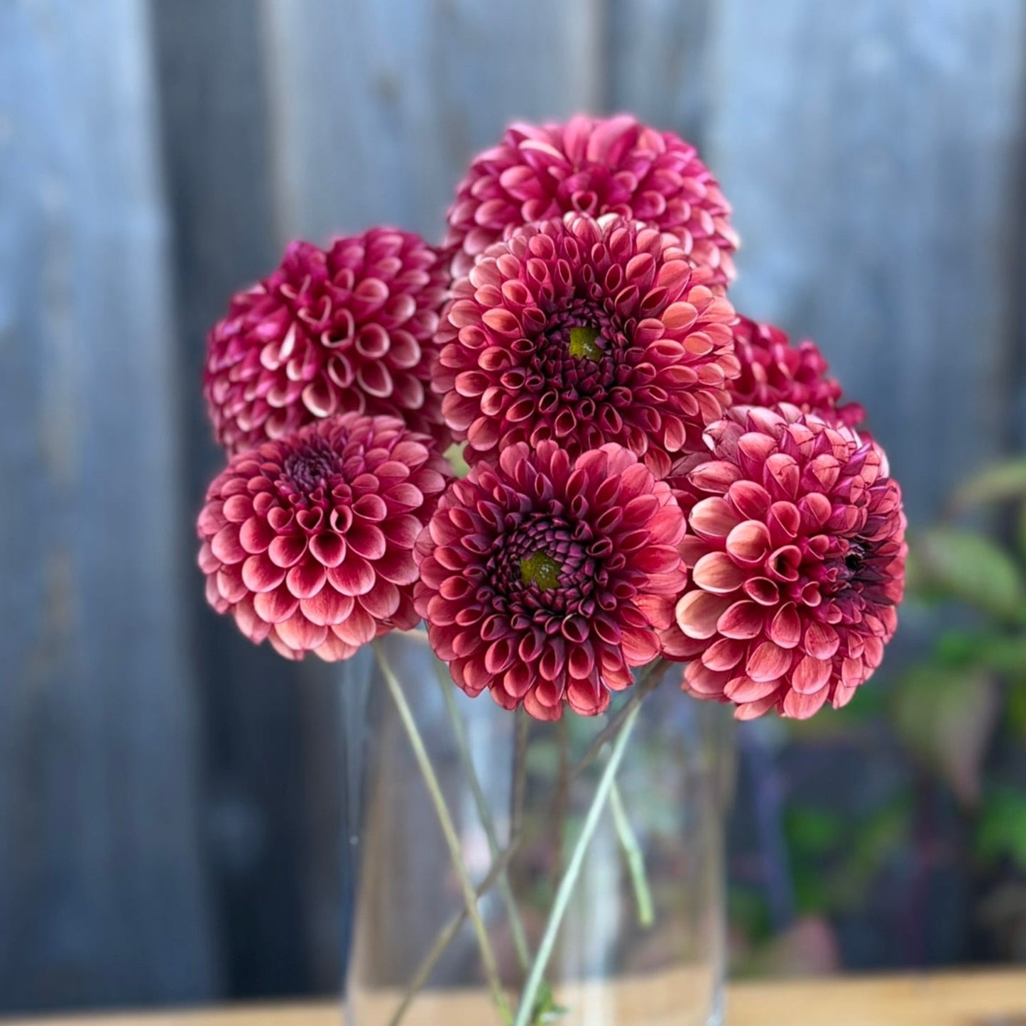 Red flowers in a clear vase on a wooden surface with a blurred background