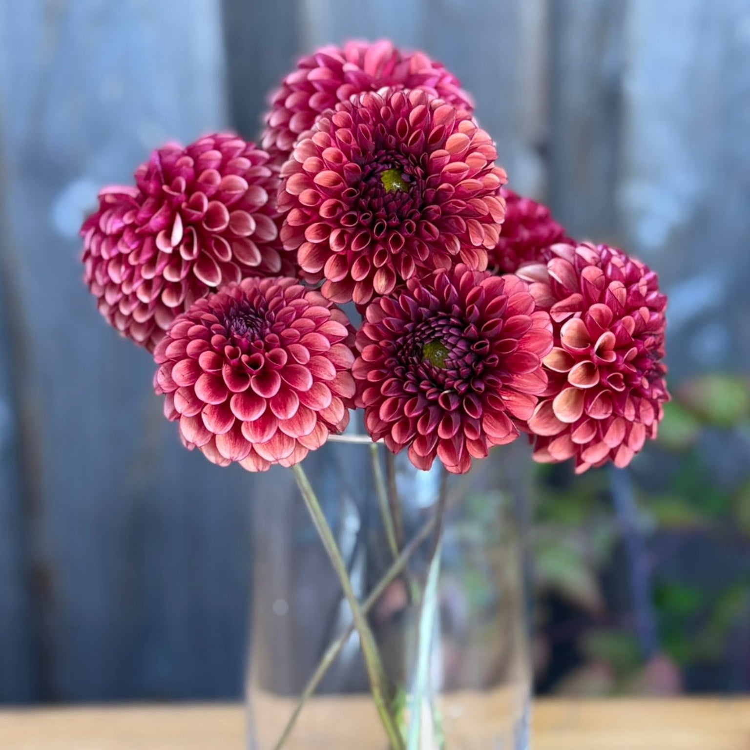Clear glass vase with red flowers on a wooden surface