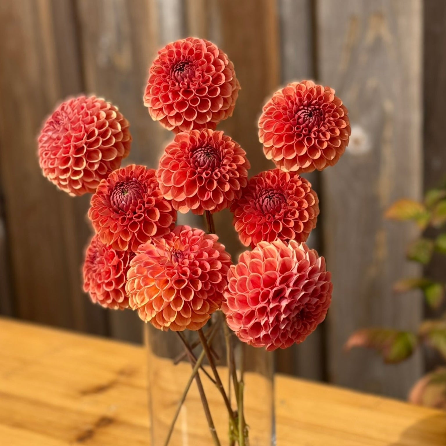 Clear vase with pink flowers on a wooden table