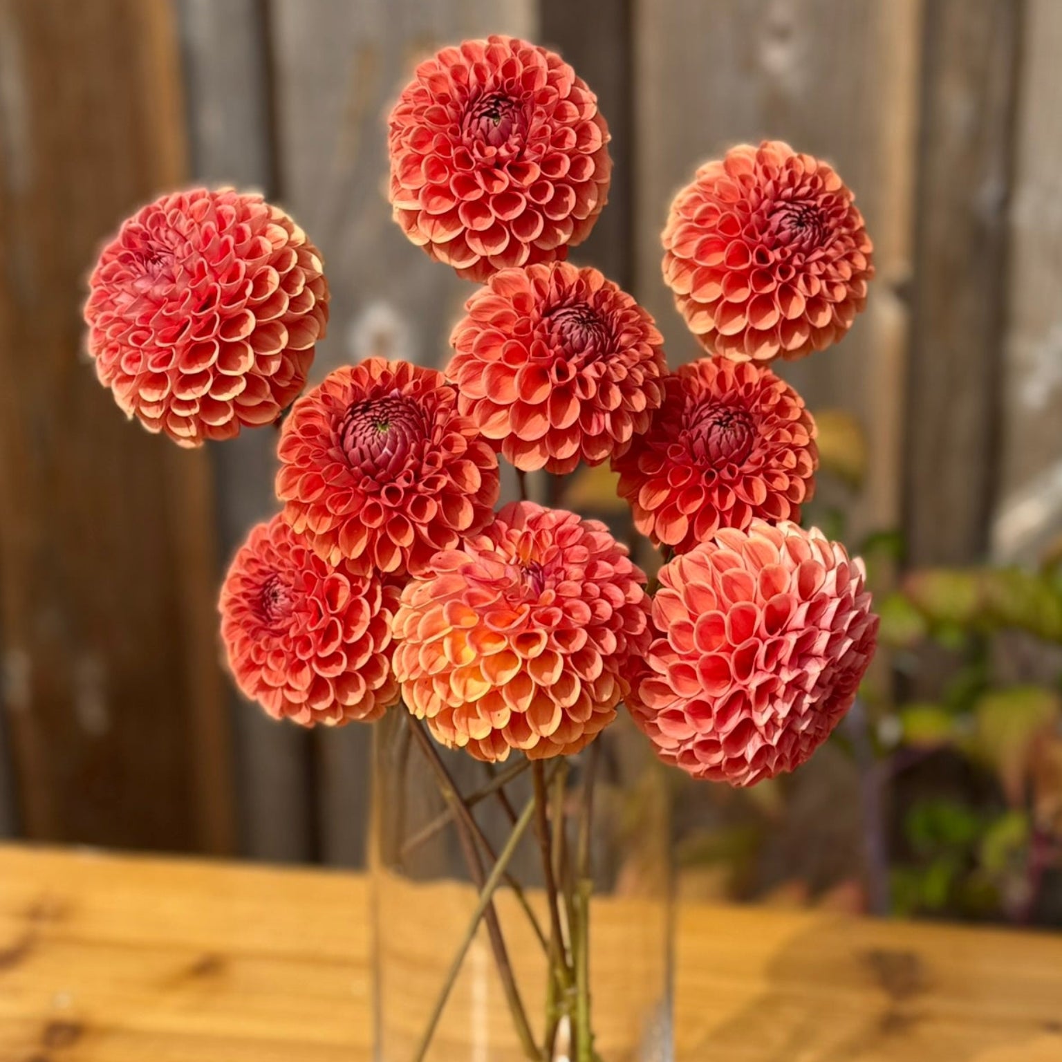 Clear glass vase with red flowers on a wooden surface