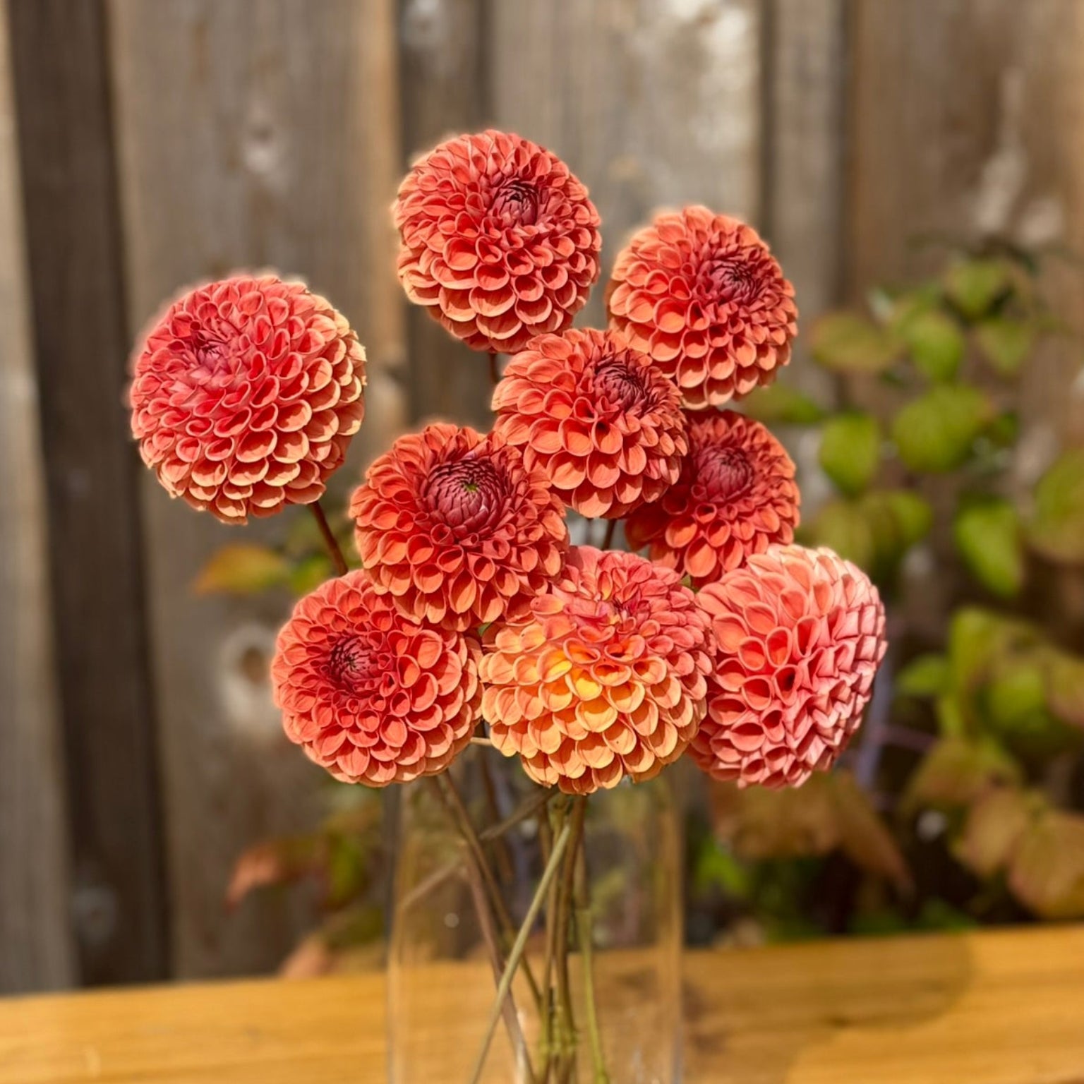 Clear glass vase with red flowers on a wooden surface with a metal fence background