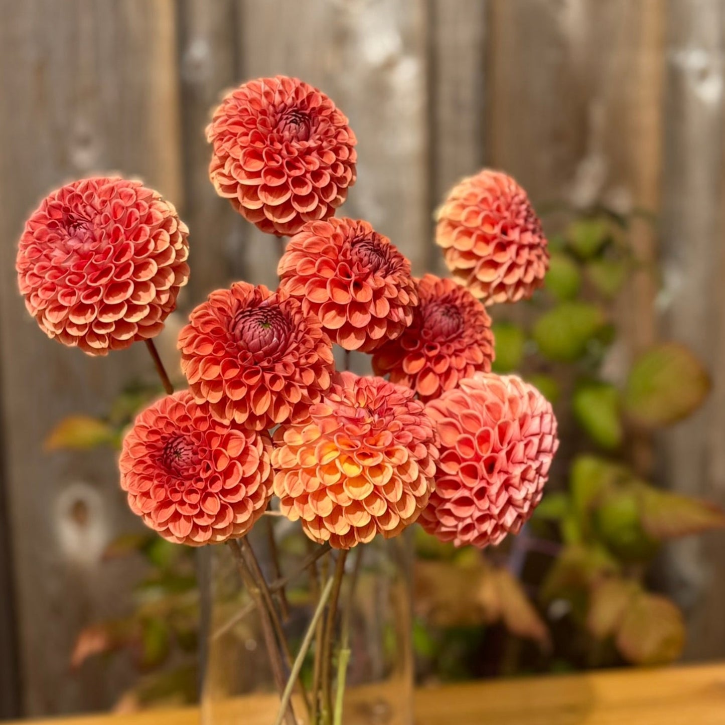 Clear vase with red flowers on a wooden surface and wooden fence background