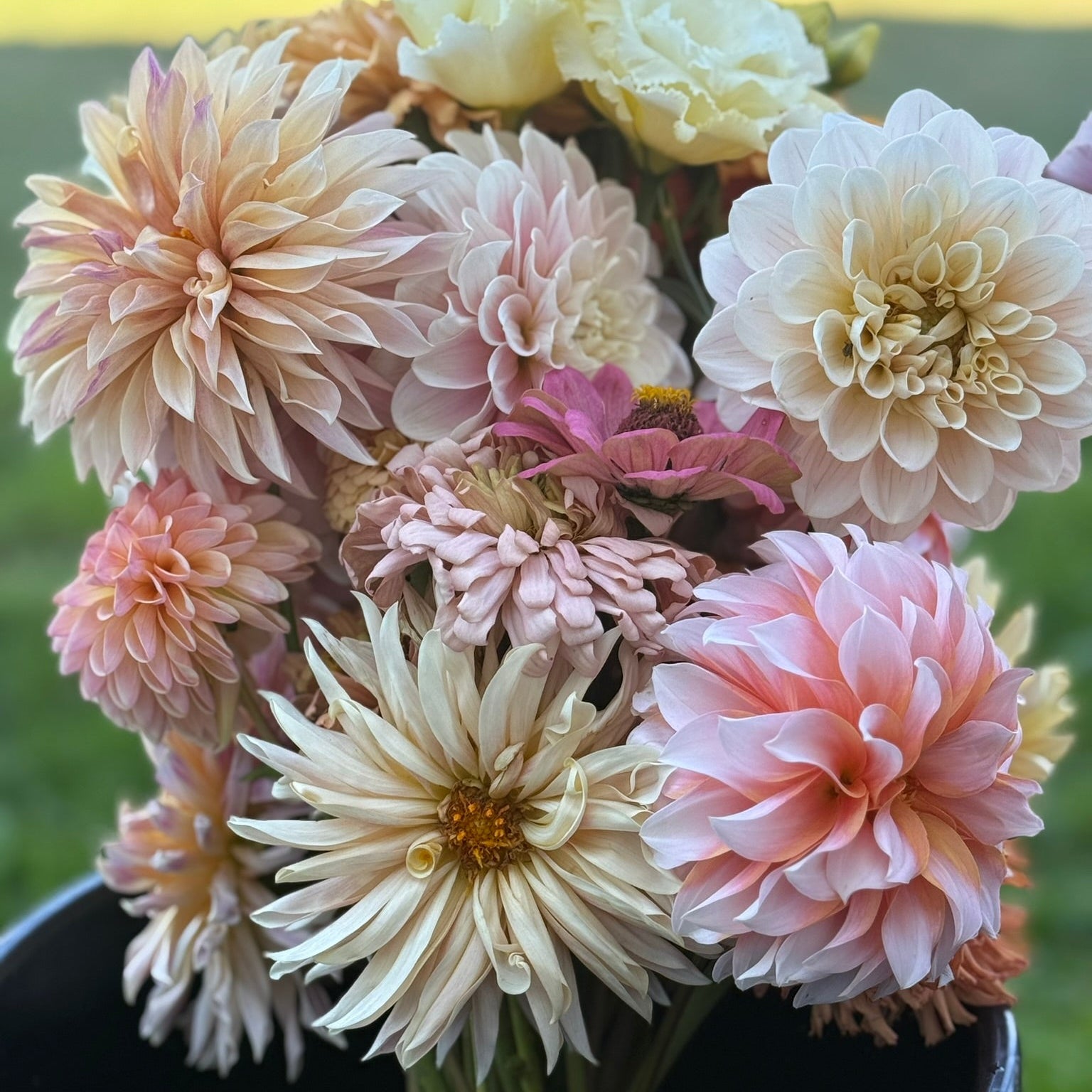 Bouquet of pink and white flowers in a black pot with a blurred green background