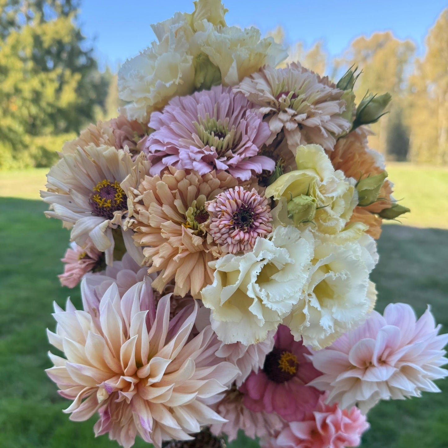 Bouquet of pastel-colored flowers held by a person outdoors with greenery in the background