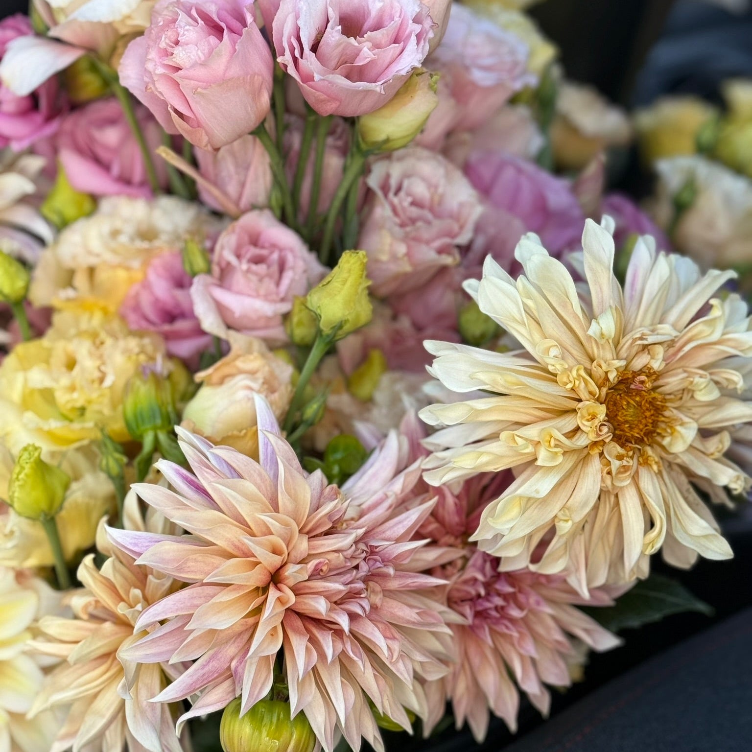 Bouquet of pink, yellow, and white flowers with a dark background