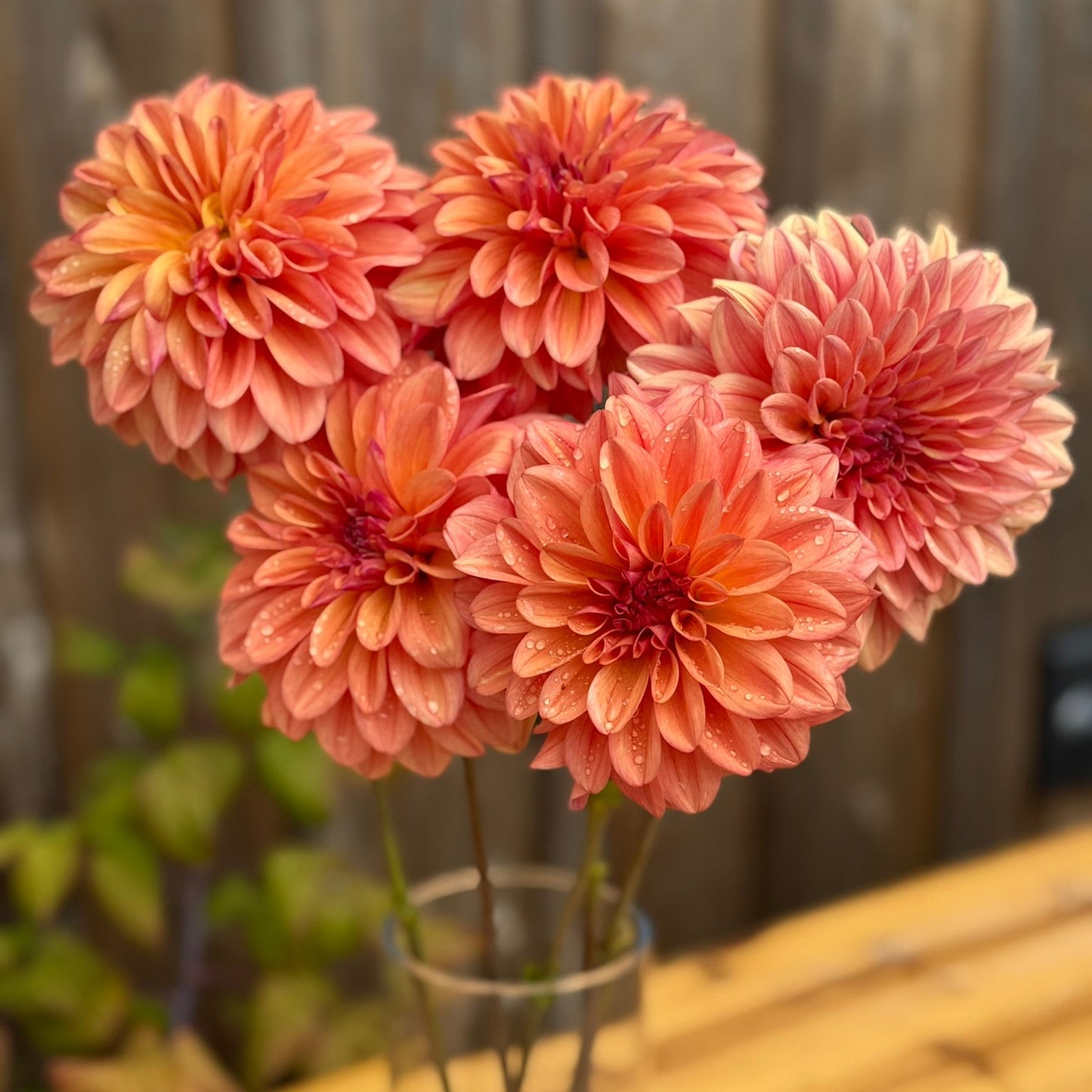 Bouquet of peach-colored flowers in a clear vase on a wooden surface.