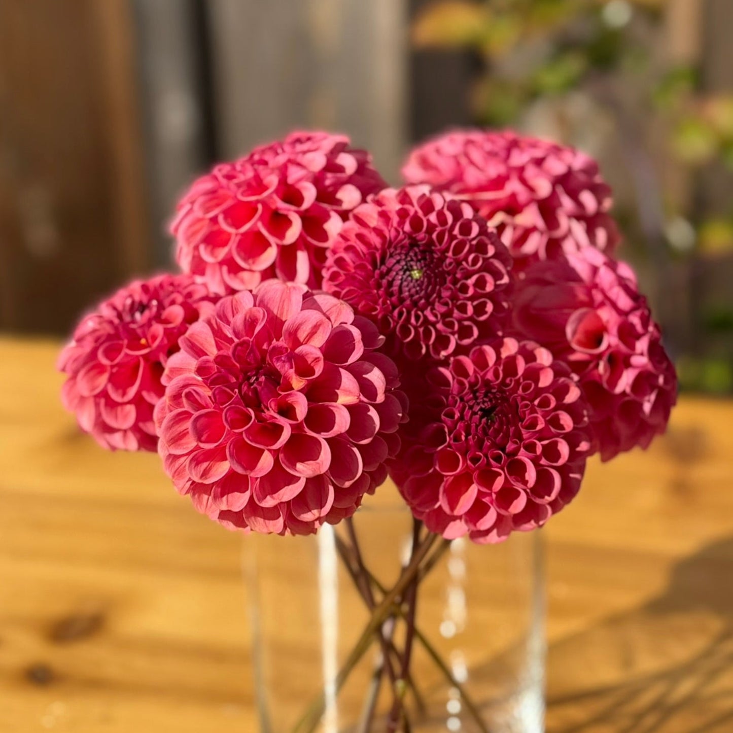 Pink flowers in a clear vase on a wooden table with a blurred background