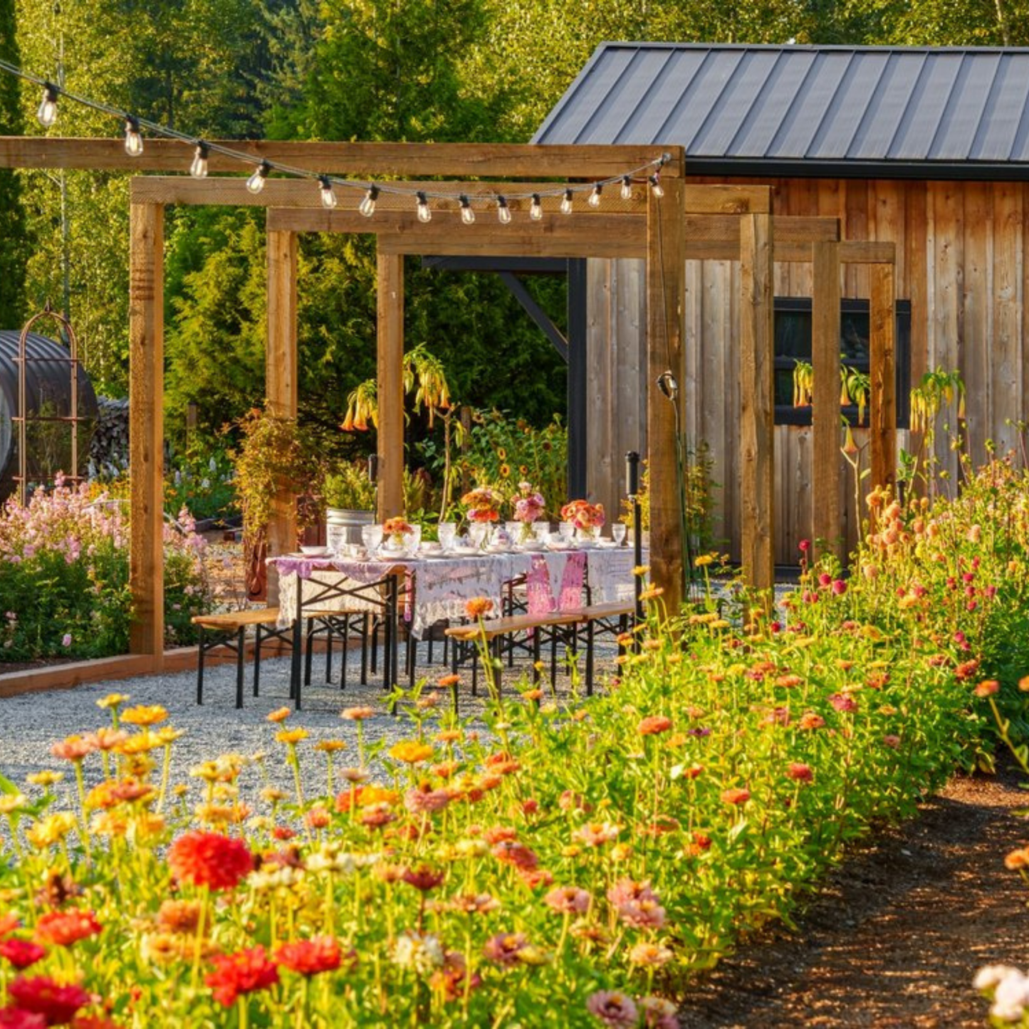 Gather & Glow: Petite Harvest (15 stems)