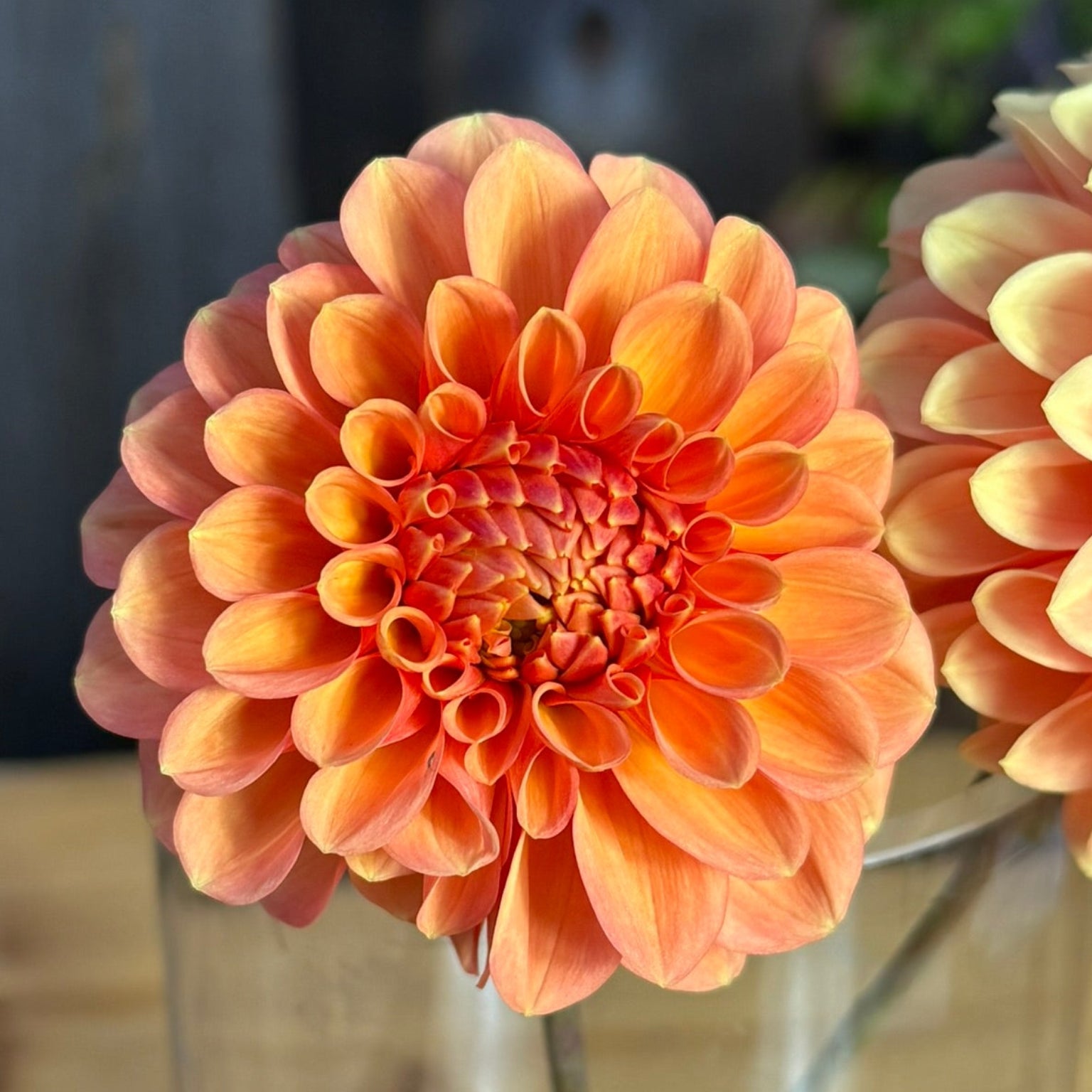 Two peach-colored flowers in a clear vase on a wooden surface with a blurred background.