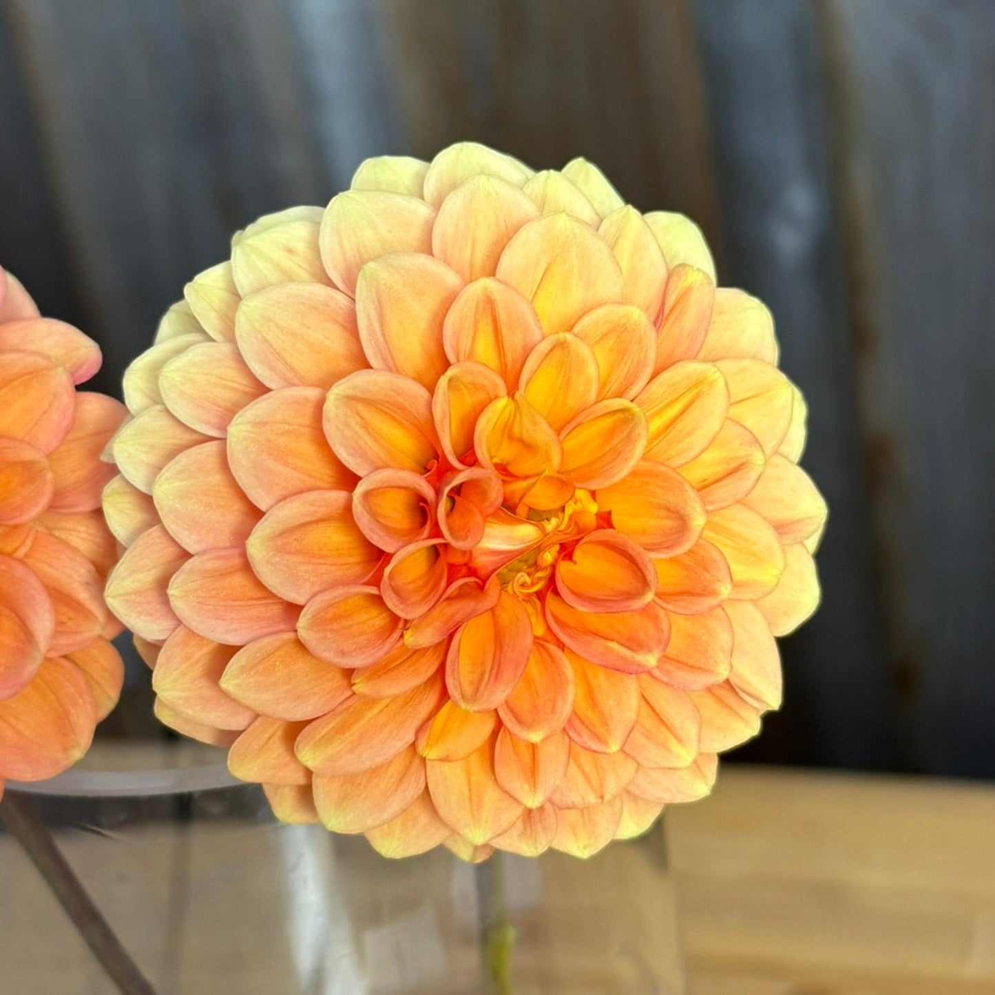 Two orange flowers in a clear vase on a wooden surface with a blurred background