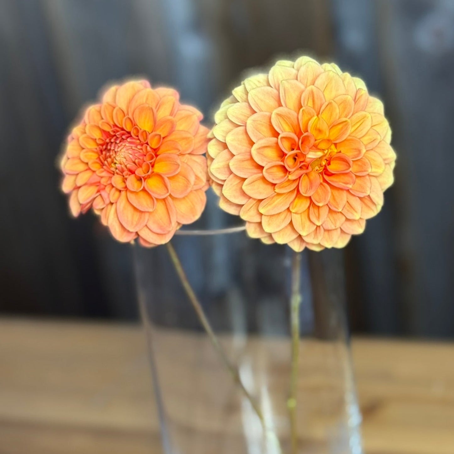 Two peach-colored flowers in a clear glass vase on a wooden surface with a dark background.
