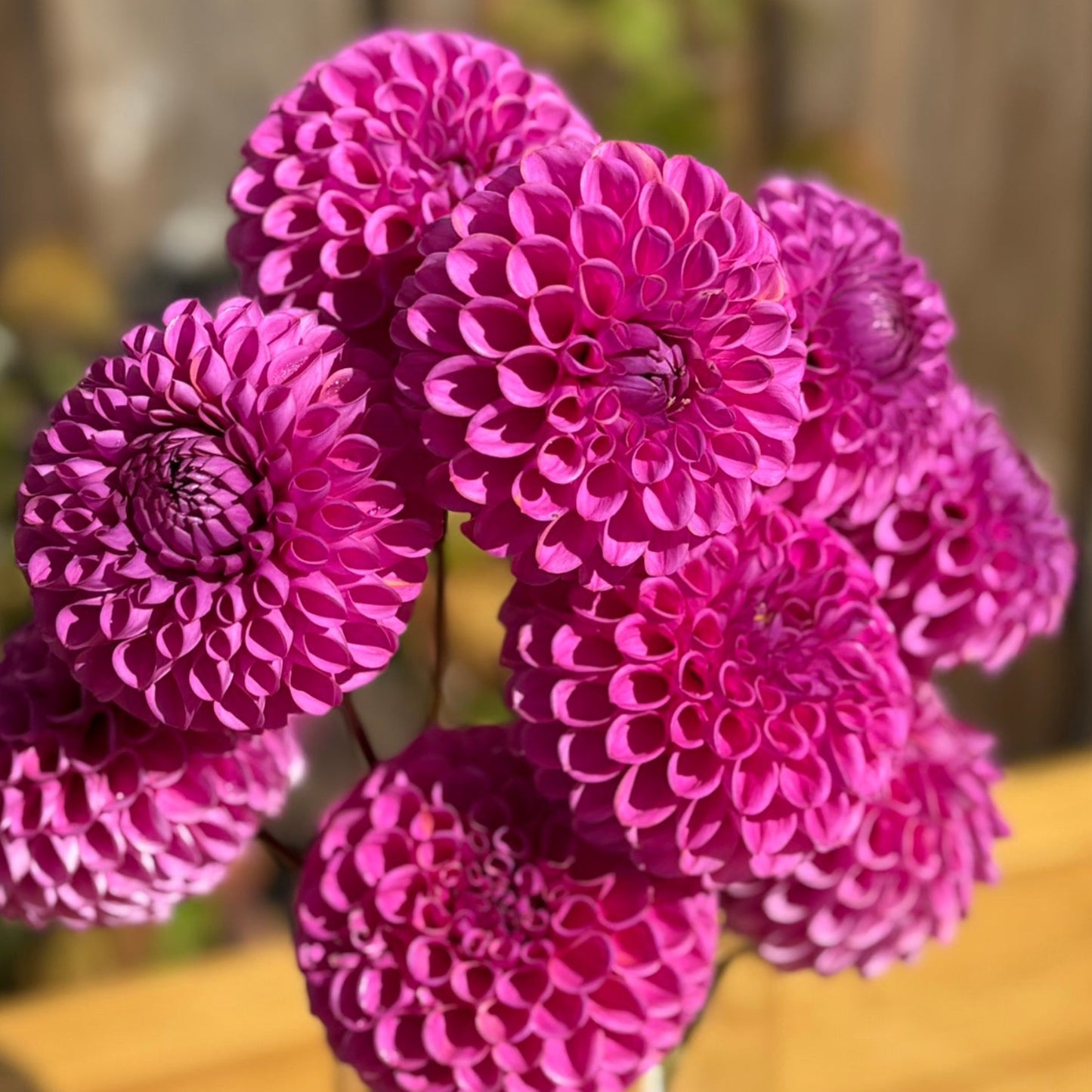Bouquet of purple flowers in a clear vase on a wooden surface