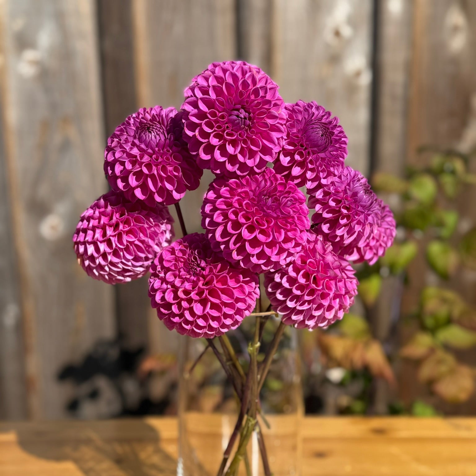 Bouquet of pink flowers in a clear vase on a wooden table with a blurred background