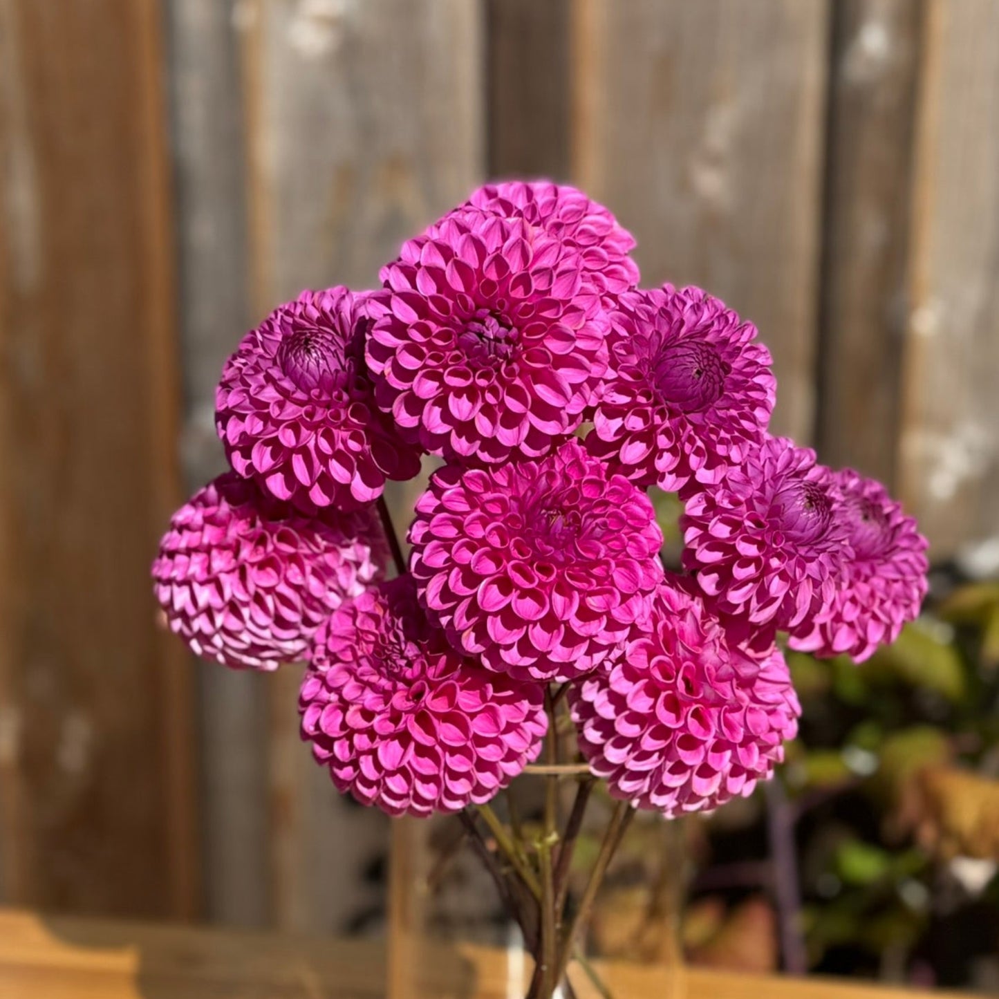 Clear vase with pink flowers on a wooden surface