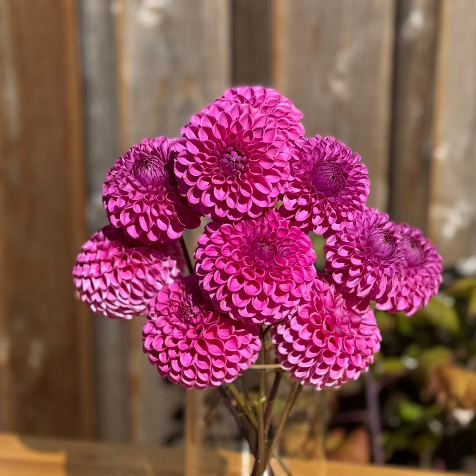 Clear vase with pink flowers on a wooden surface
