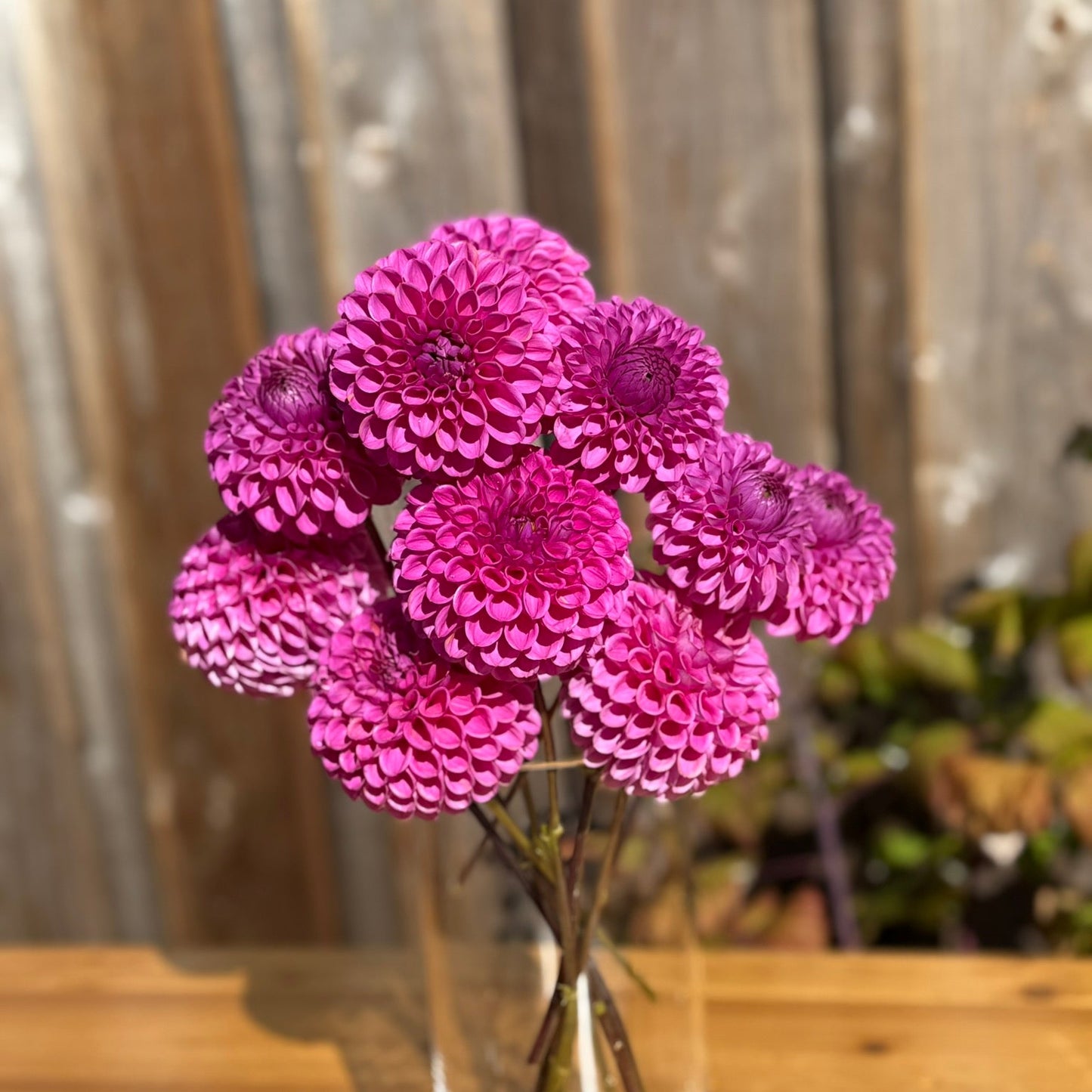 Pink flowers in a clear vase on a wooden surface with a blurred background