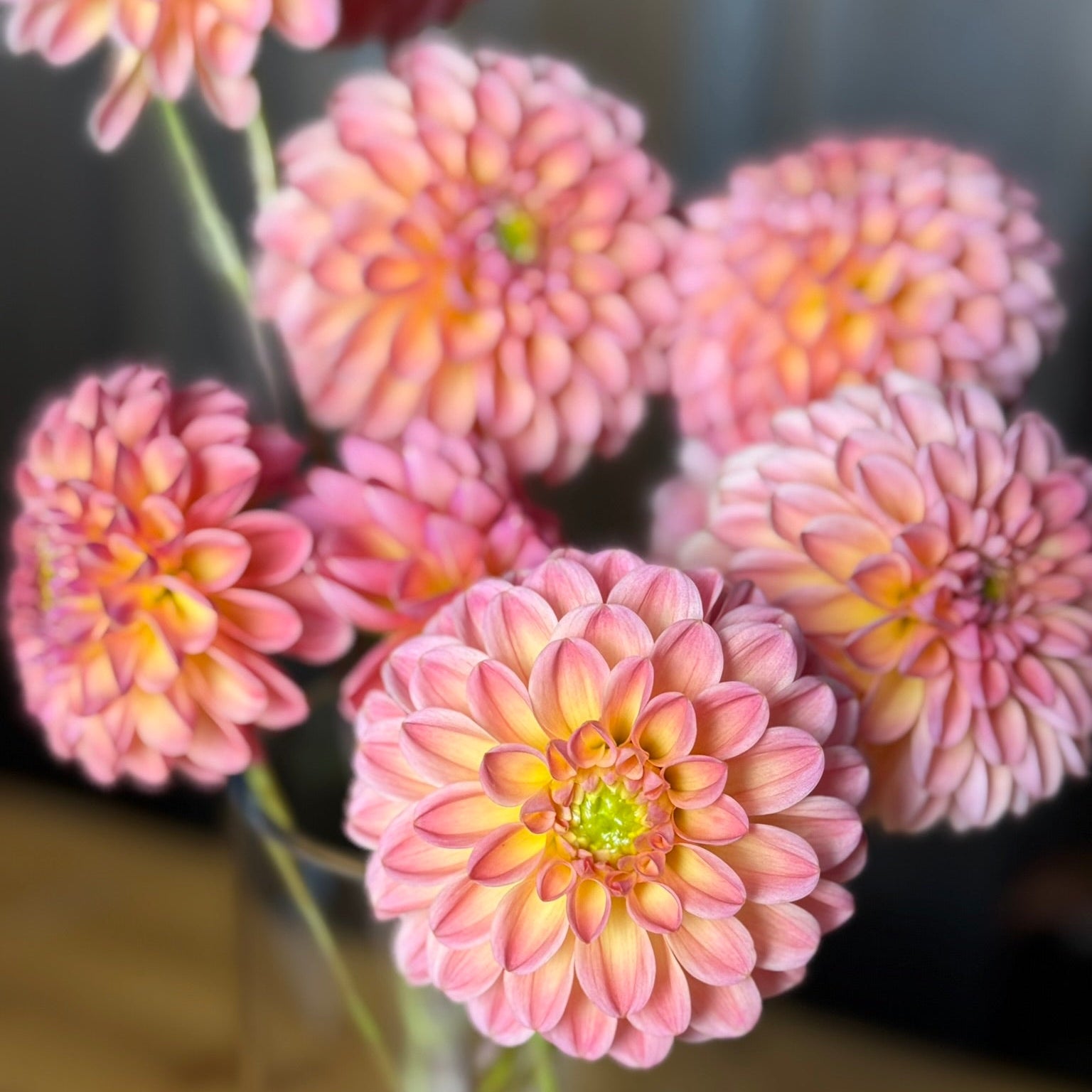 close up of bouquet of peachy pink flowers
